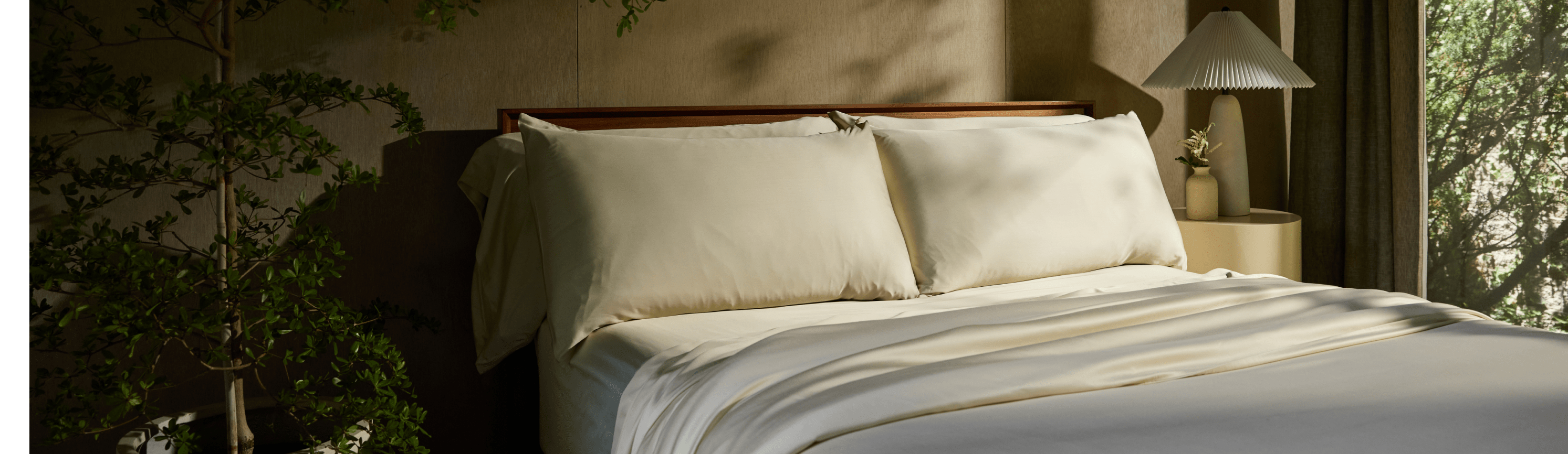 Cozy Earth Bundles - Cozy Earth