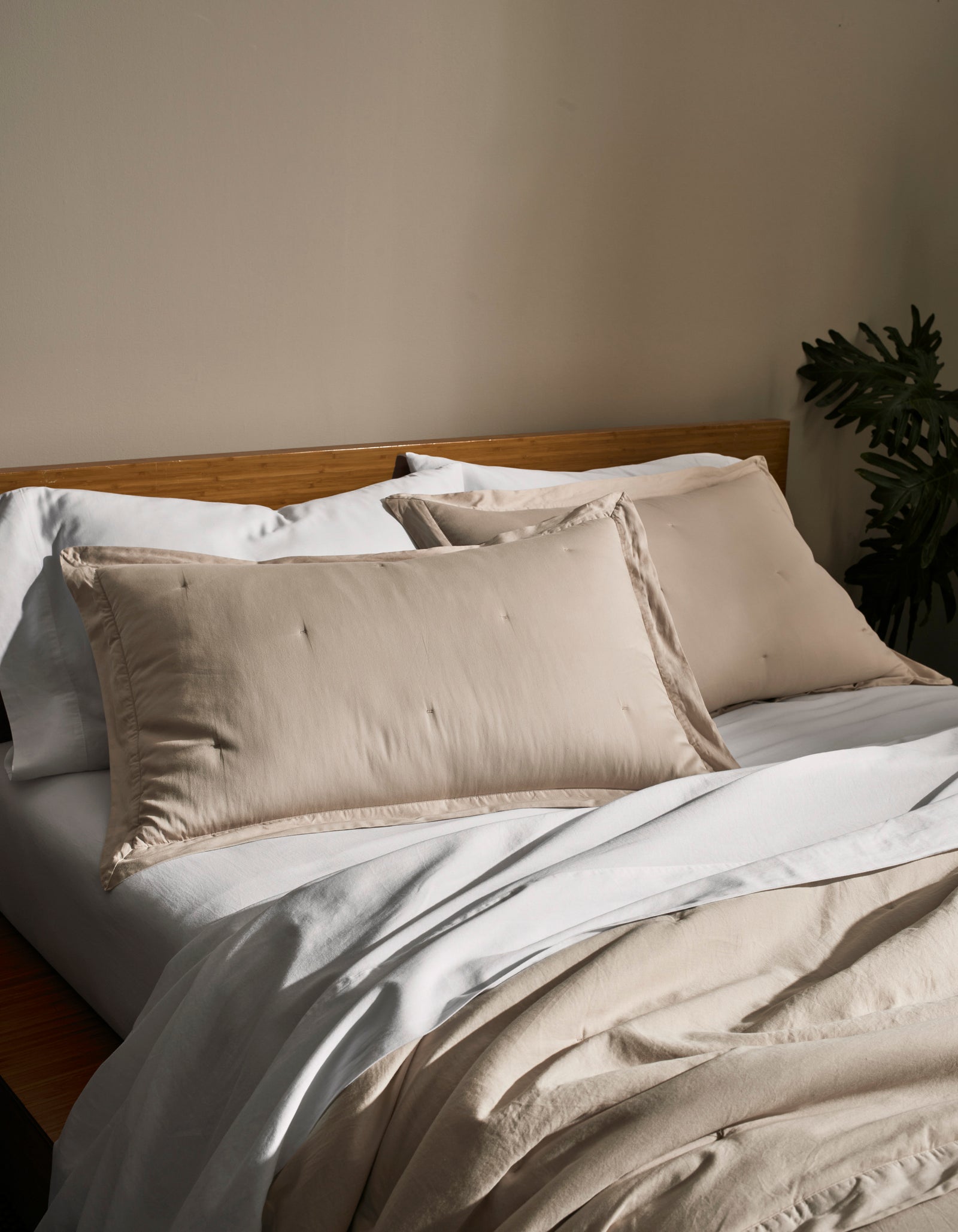 A neatly made bed features Cozy Earth Soft-Wash Cotton Quilted Shams in light beige, a matching duvet, crisp white sheets, and a wooden headboard. A leafy green plant sits in the background against a neutral wall.
