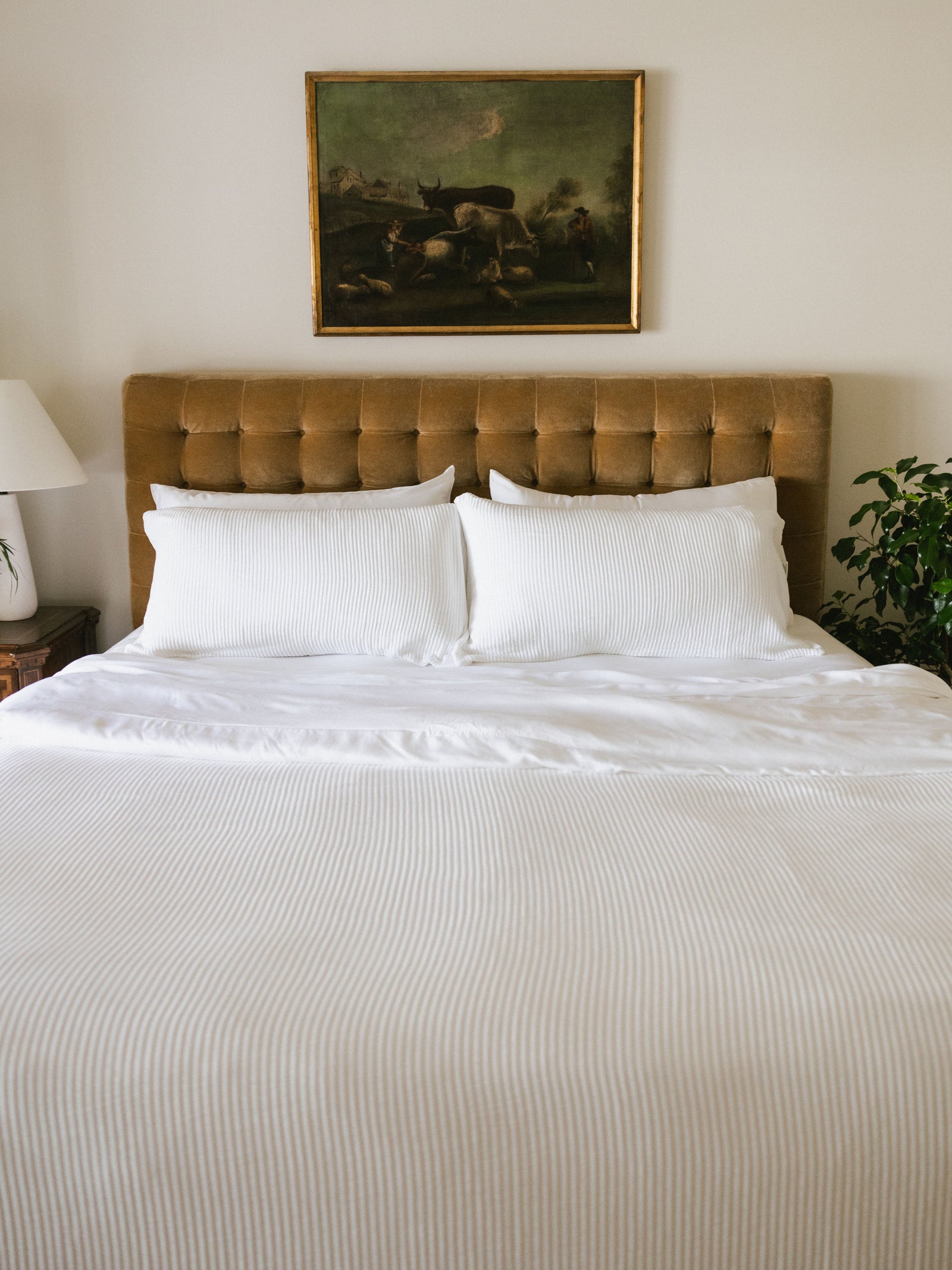 White coverlet and shams on a bed 