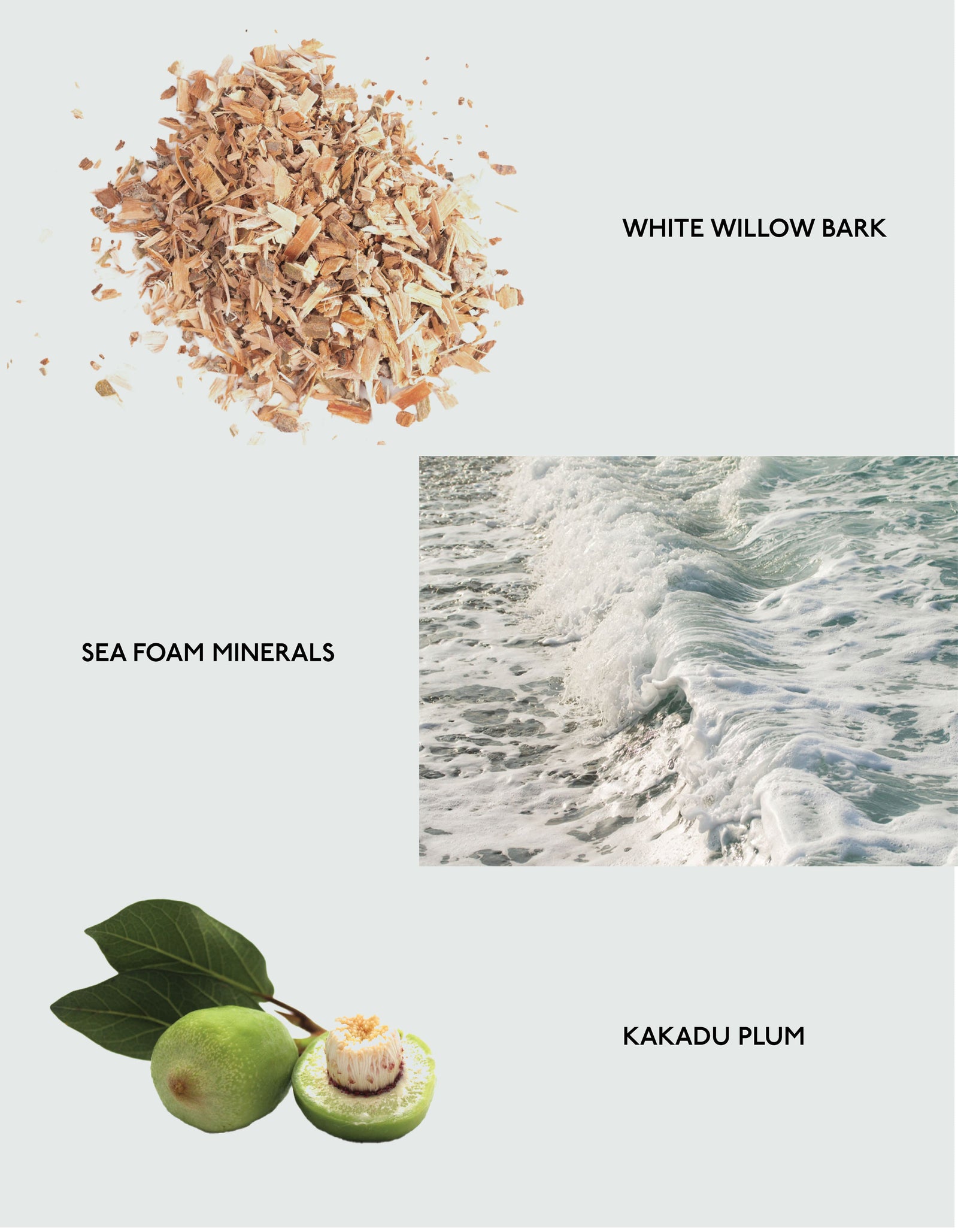 The product image for Cozy Earth's Gel Cleanser features three distinct elements: "White Willow Bark," depicted as a pile of shredded bark; "Sea Foam Minerals," represented by a frothy ocean wave; and "Kakadu Plum," illustrated with green plums, where one is whole and the other is halved.