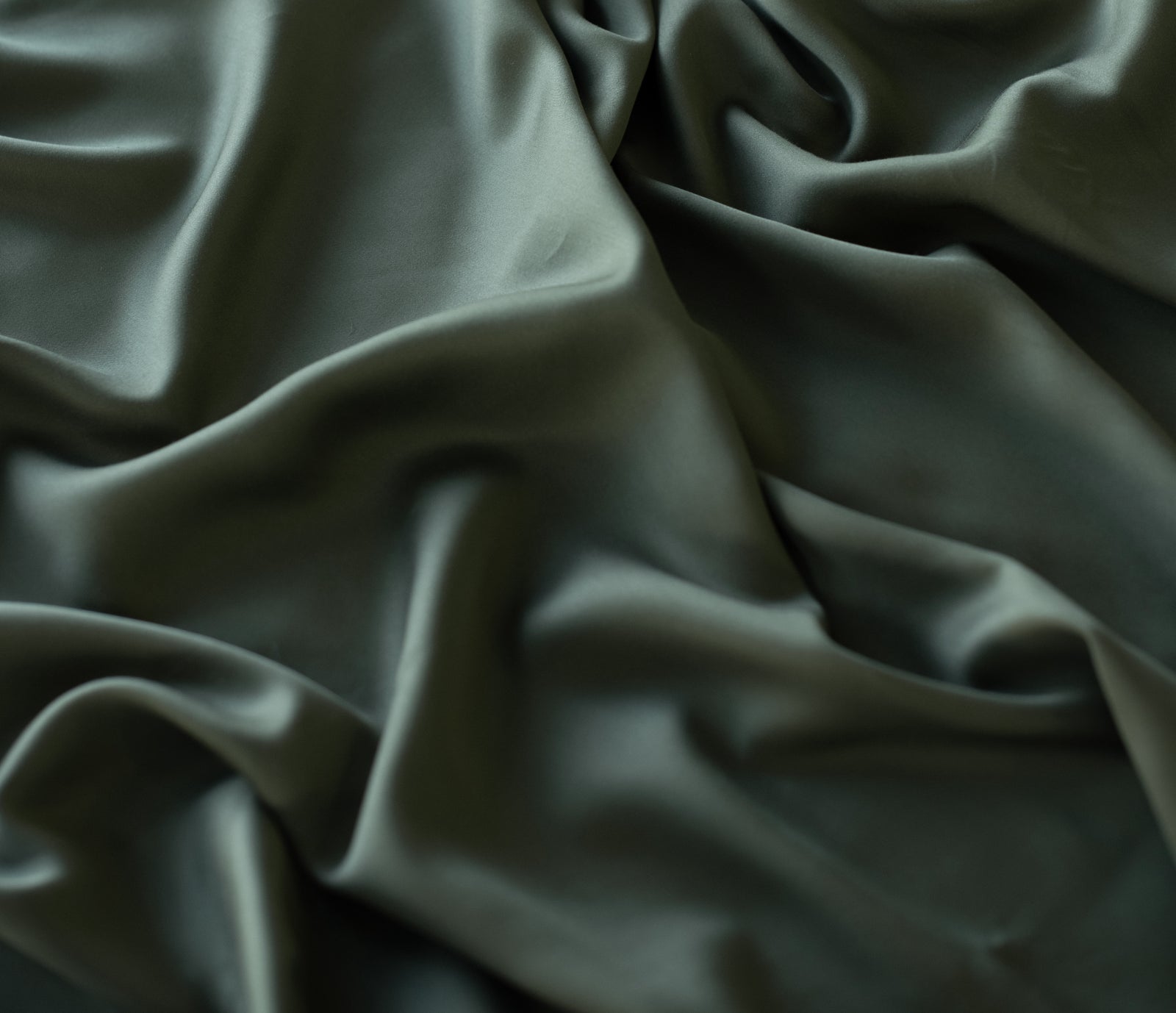 Close up of olive sheet