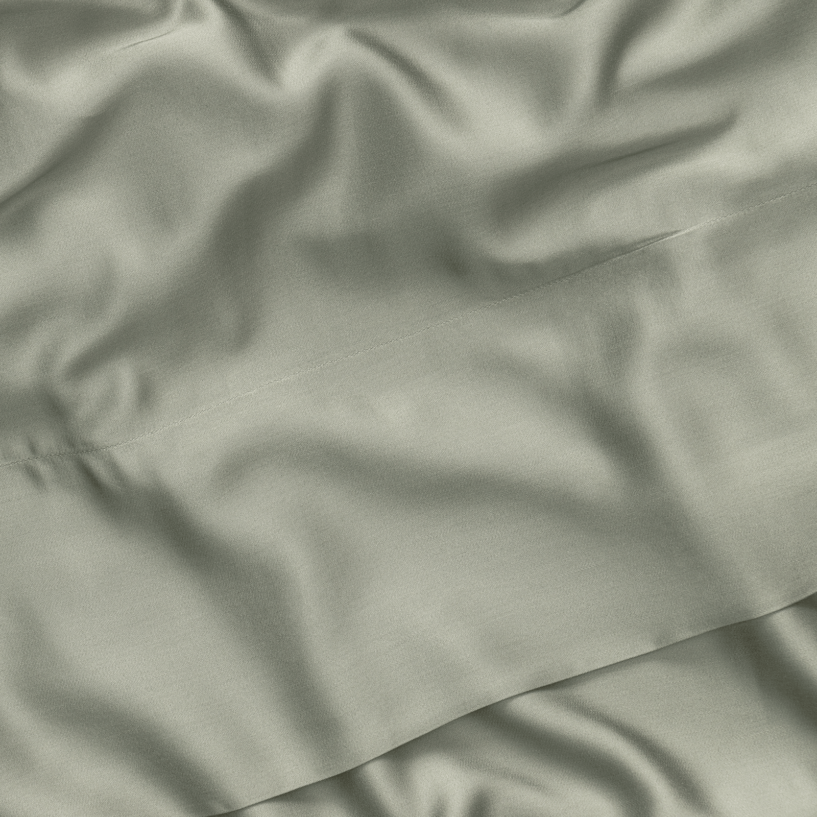 Close up of sage sheet
