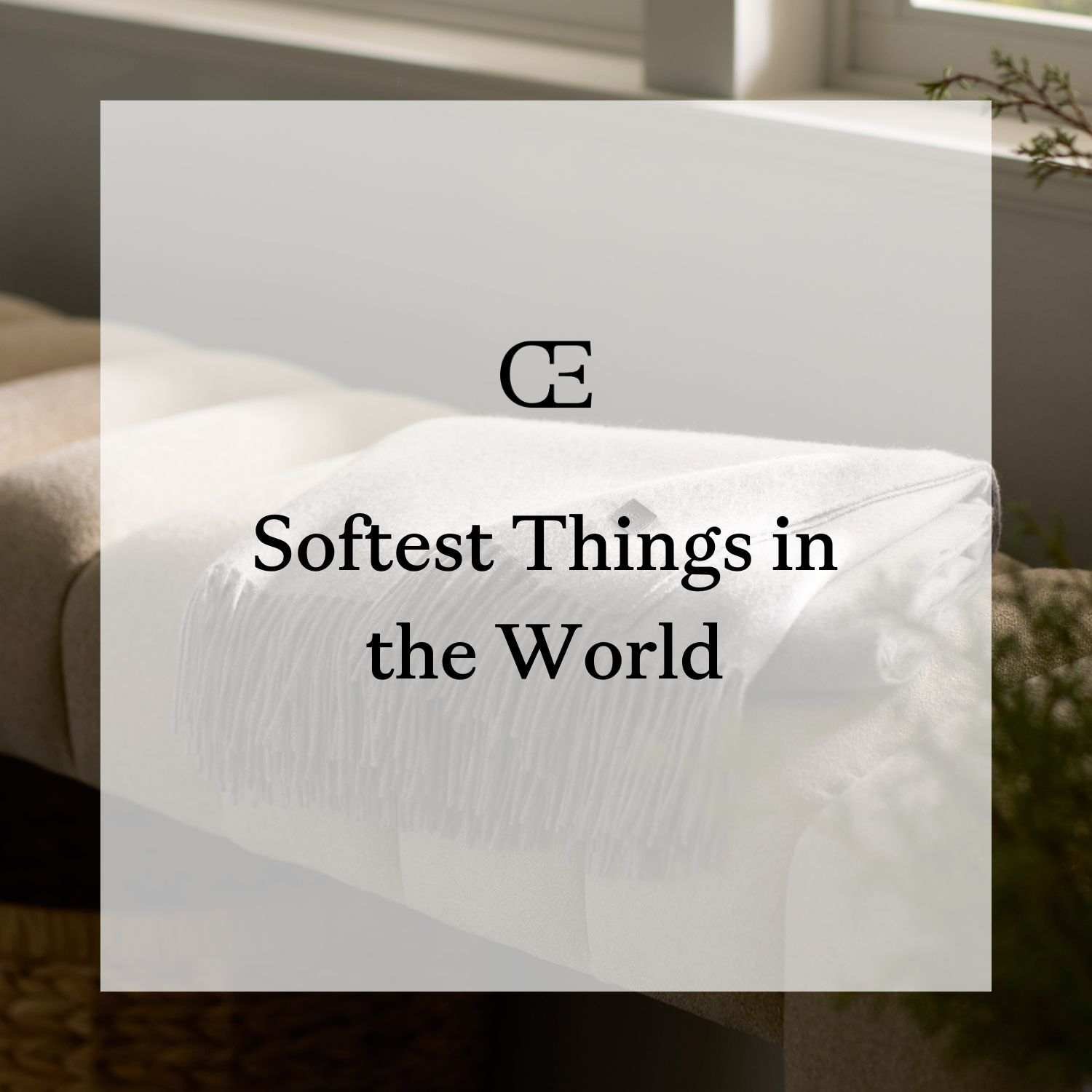 Softest Things in the World