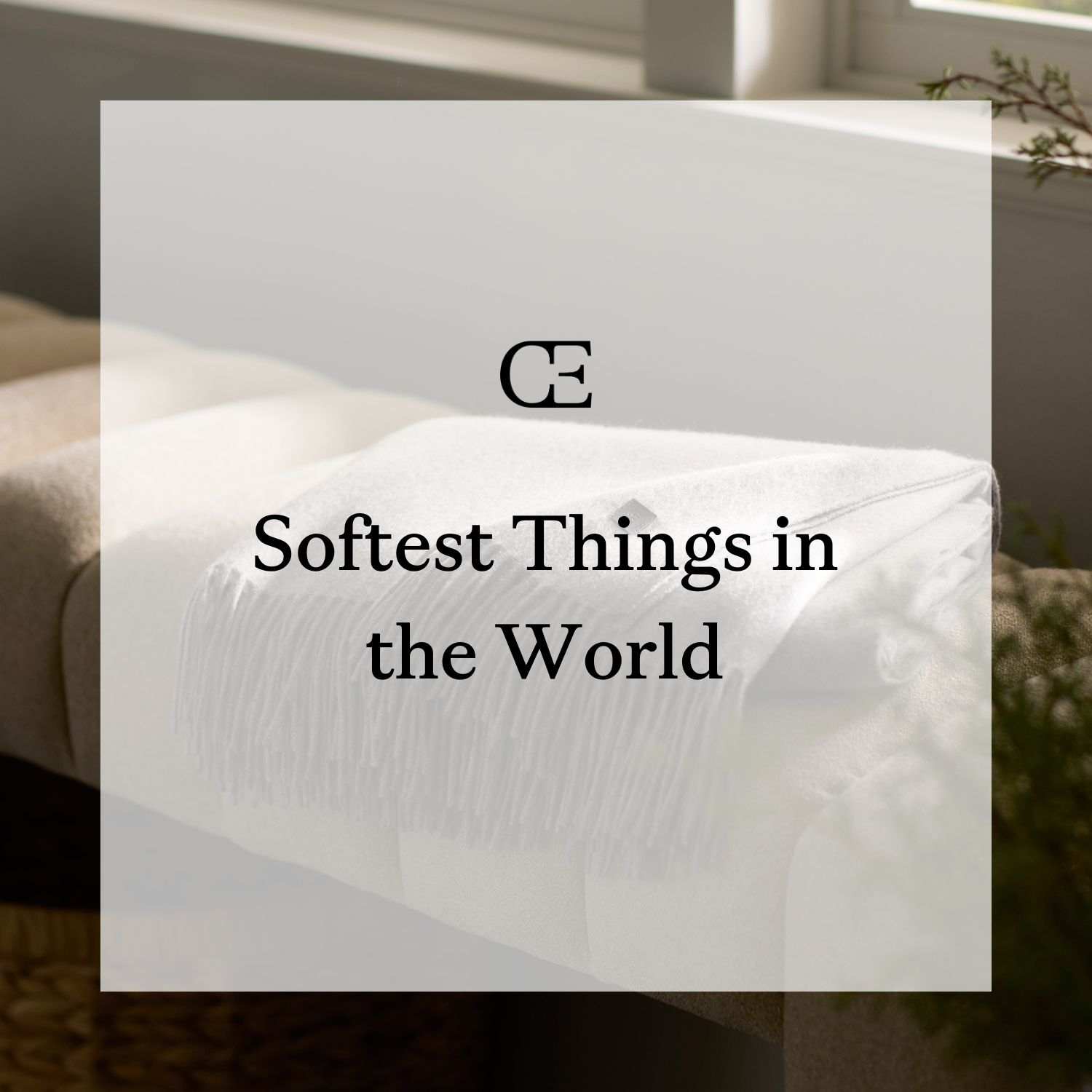 Softest Things in the World
