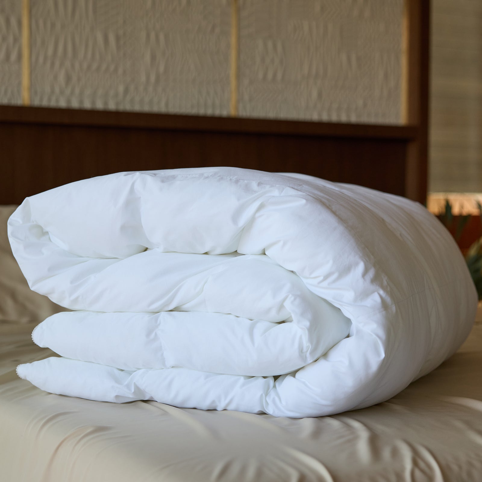 A neatly folded Cozy Earth Down Alternative Comforter in white lies on a cream-colored bed in a softly lit bedroom, featuring a textured wall in the background.