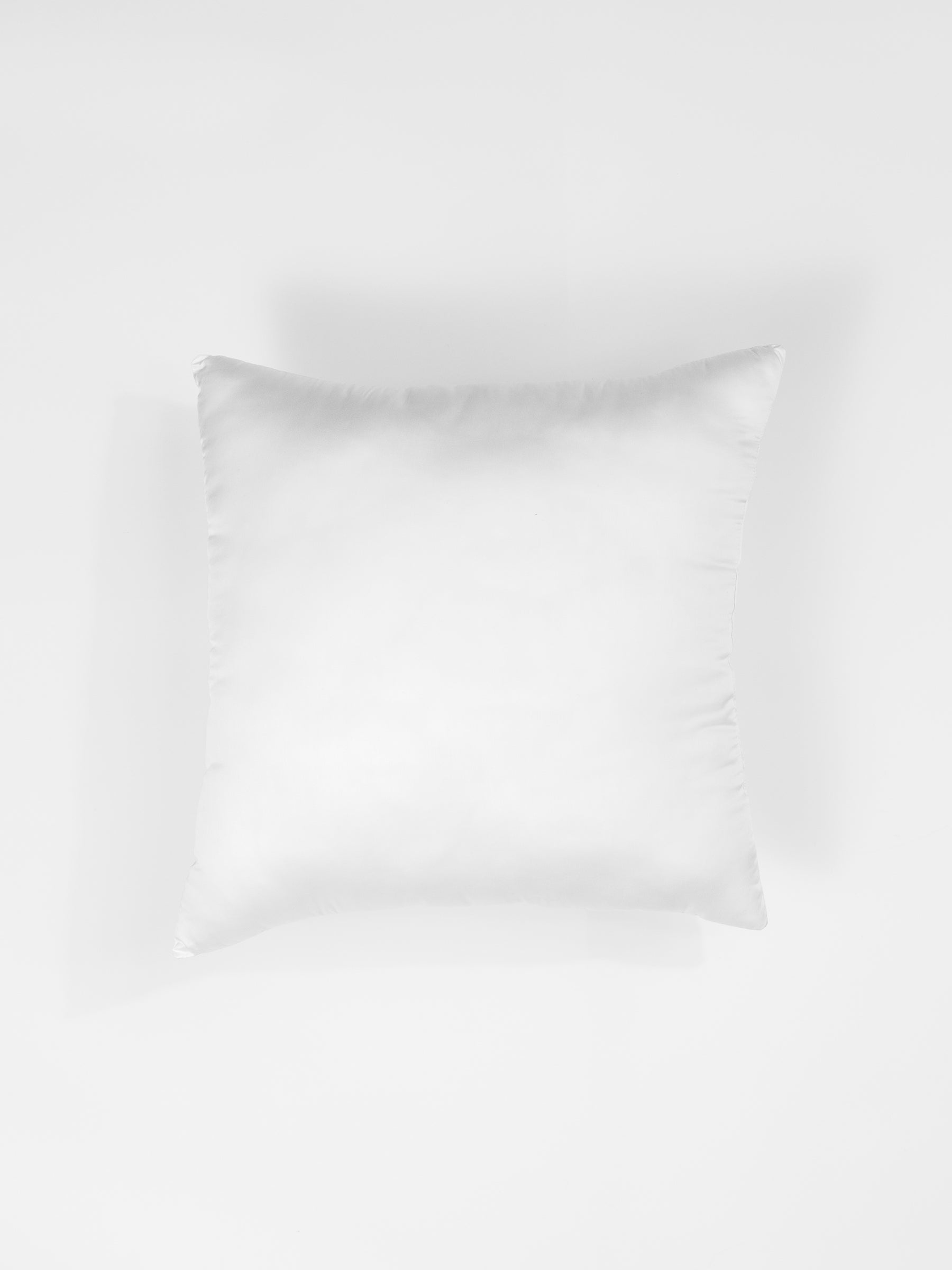 Down alternative insert with white background 