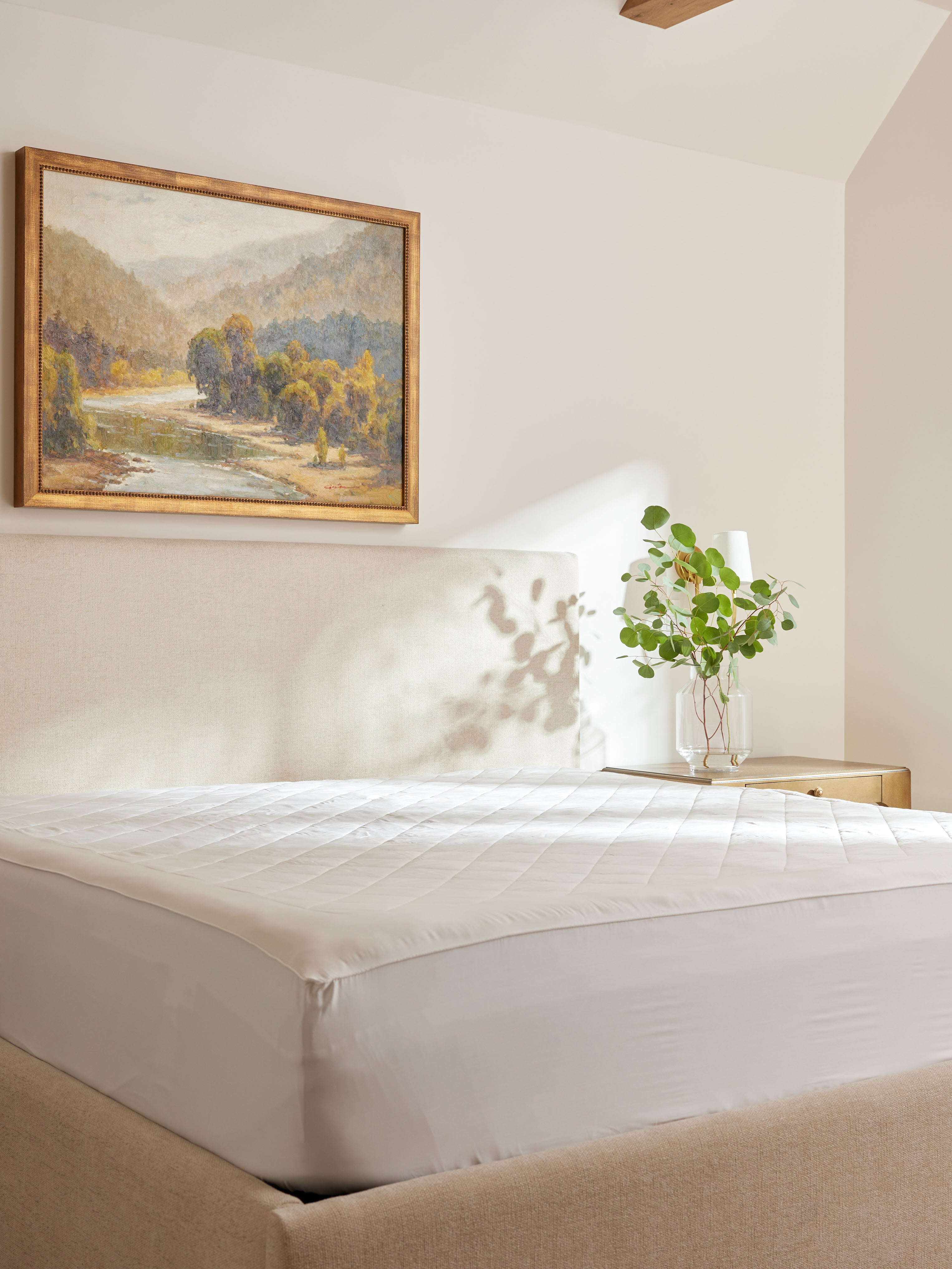 Bamboo Pillow Top Mattress Topper Cover – Quilted, Super Soft, Twin/Queen, White