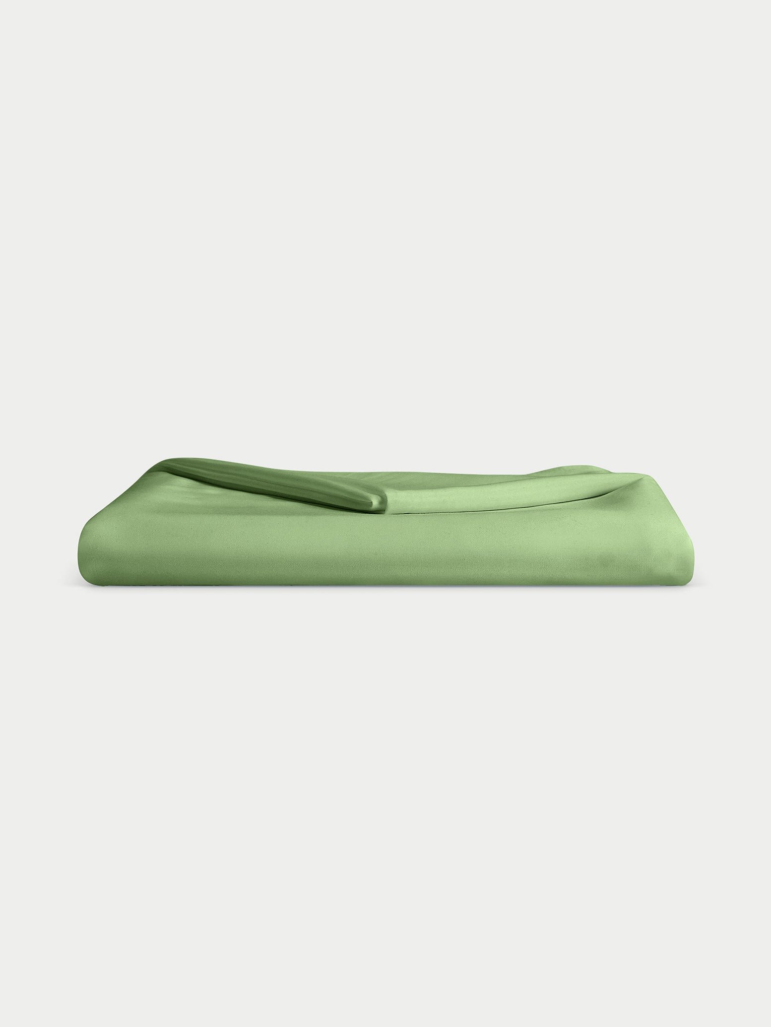 Fern flat sheet Folded on grey background 