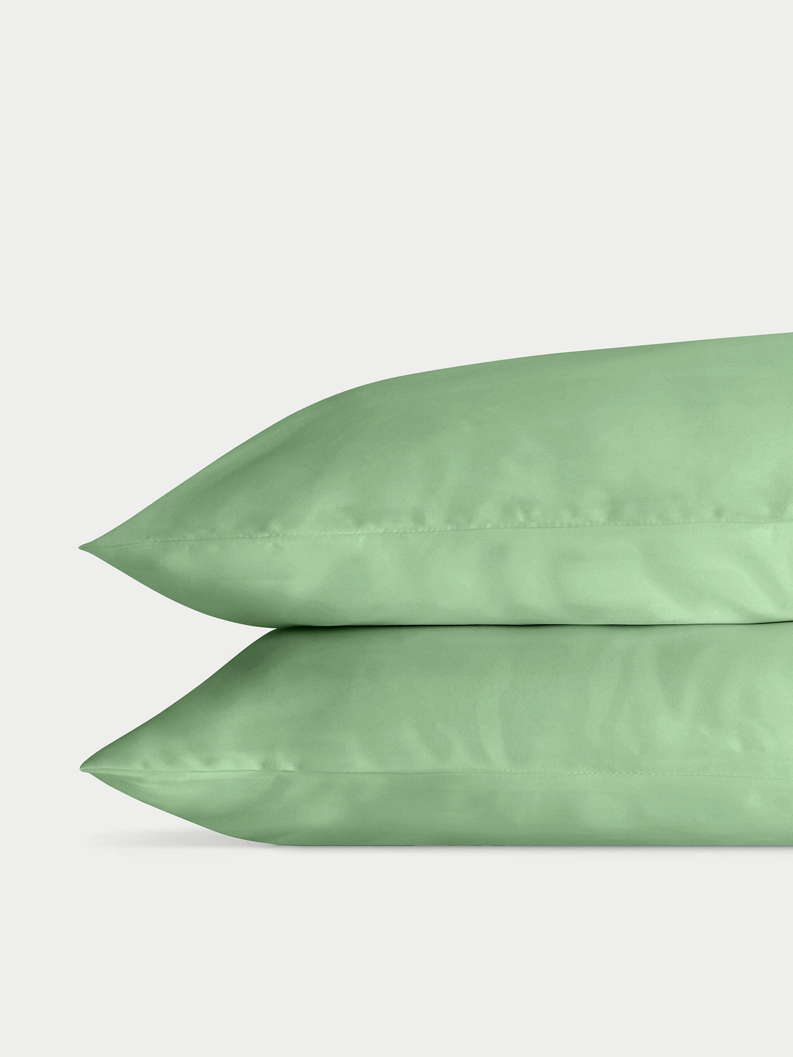Two Fern Pillowcases. The photo was taken with a plain background standard/king.