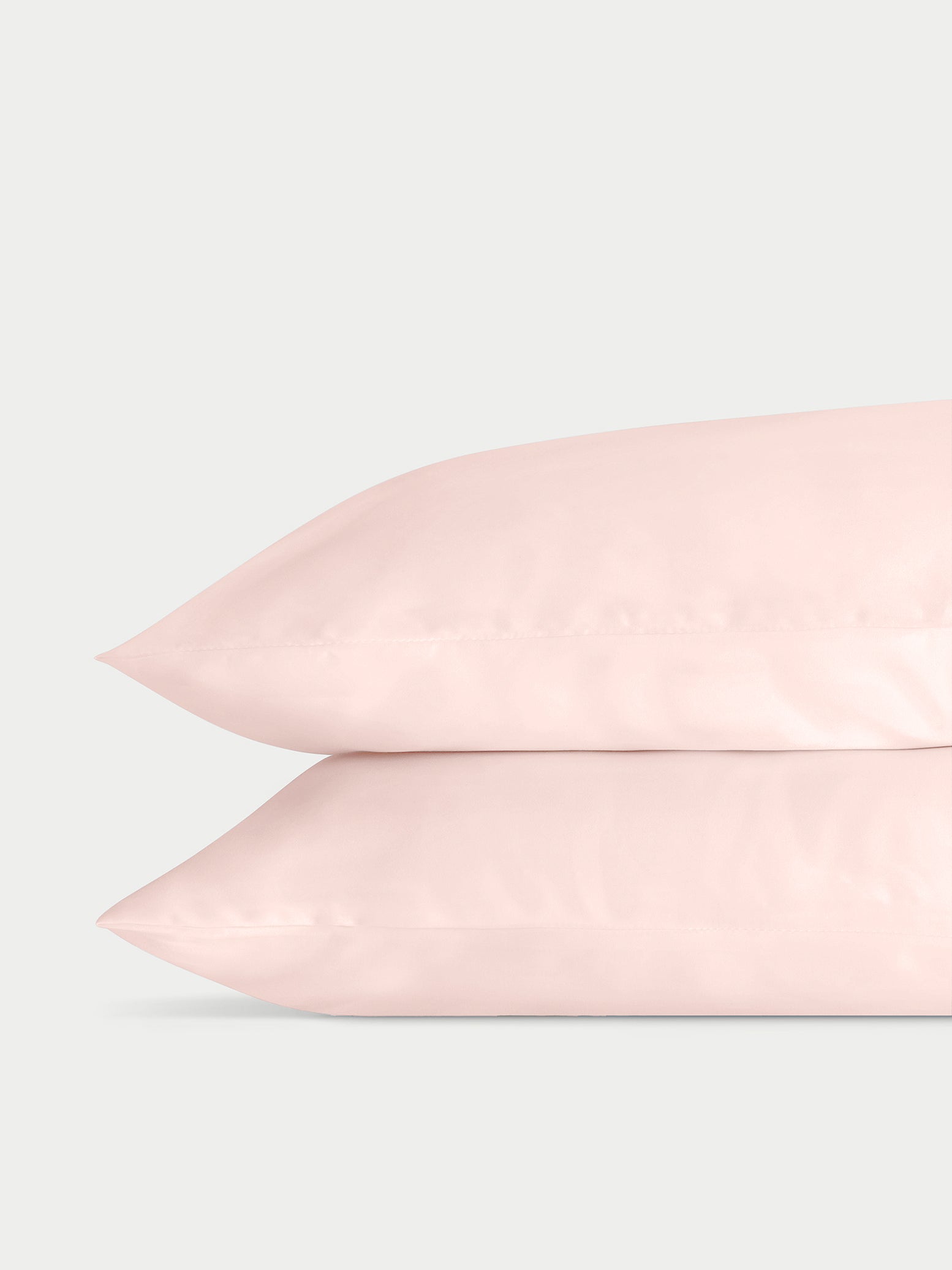 peony standard/king 