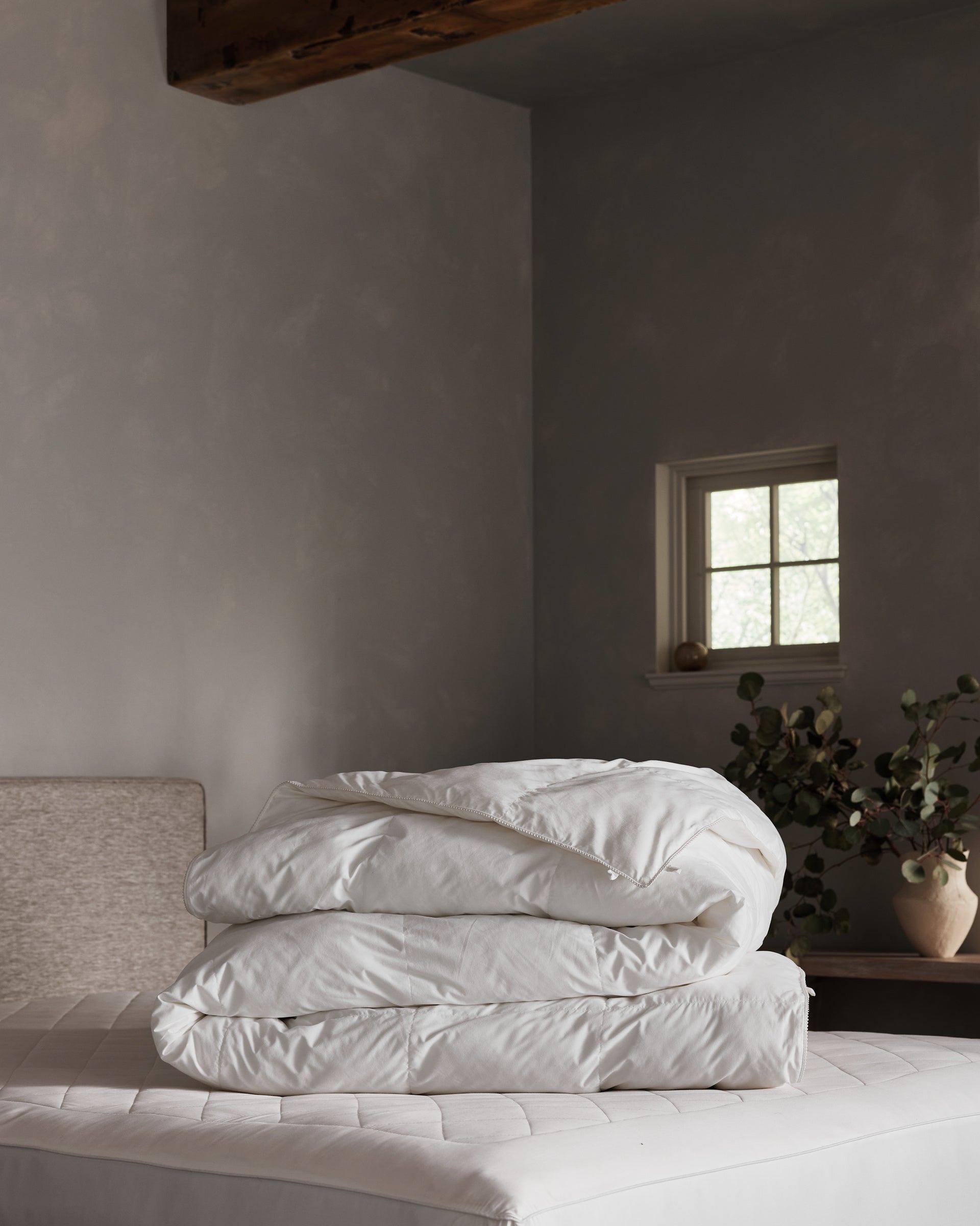 A neatly folded Cozy Earth Down Alternative Comforter rests on a bed in a softly lit, minimalist bedroom with gray walls, a small window, and a potted plant on a wooden table.Coal Stripe/Striped Alabaster, Laurel Stripe/Striped Bone 