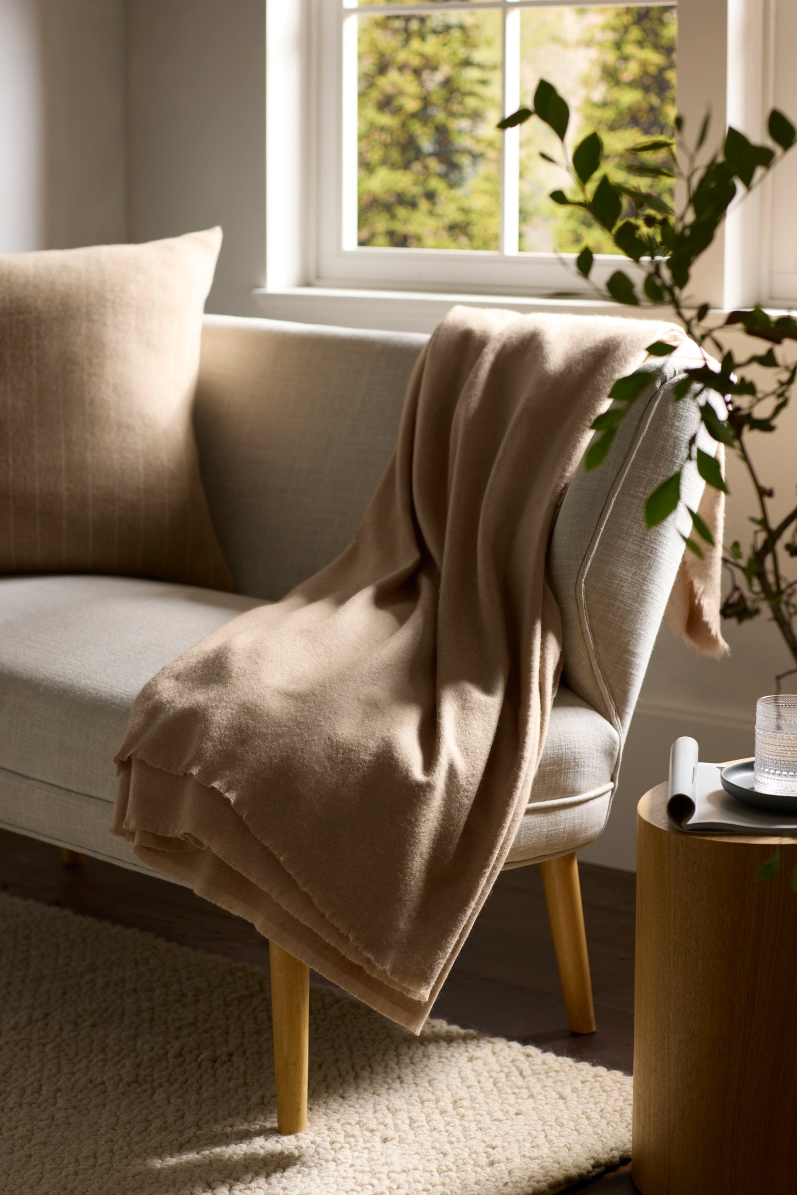 The Cozy Earth Cashmere Fringe Blanket in beige is draped over a light gray sofa with a matching cushion, beside a leafy plant and a side table with a glass of water, in a bright, sunlit living room.