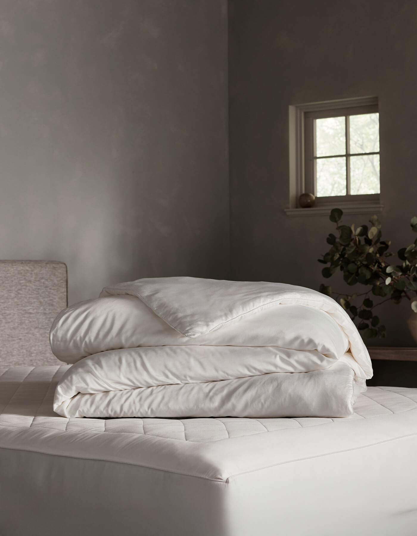 A neatly folded Silk Comforter by Cozy Earth rests on a mattress in a softly lit, minimalist bedroom with gray walls, a small window, and a vase of greenery on a wooden bench.|Filling:Standard