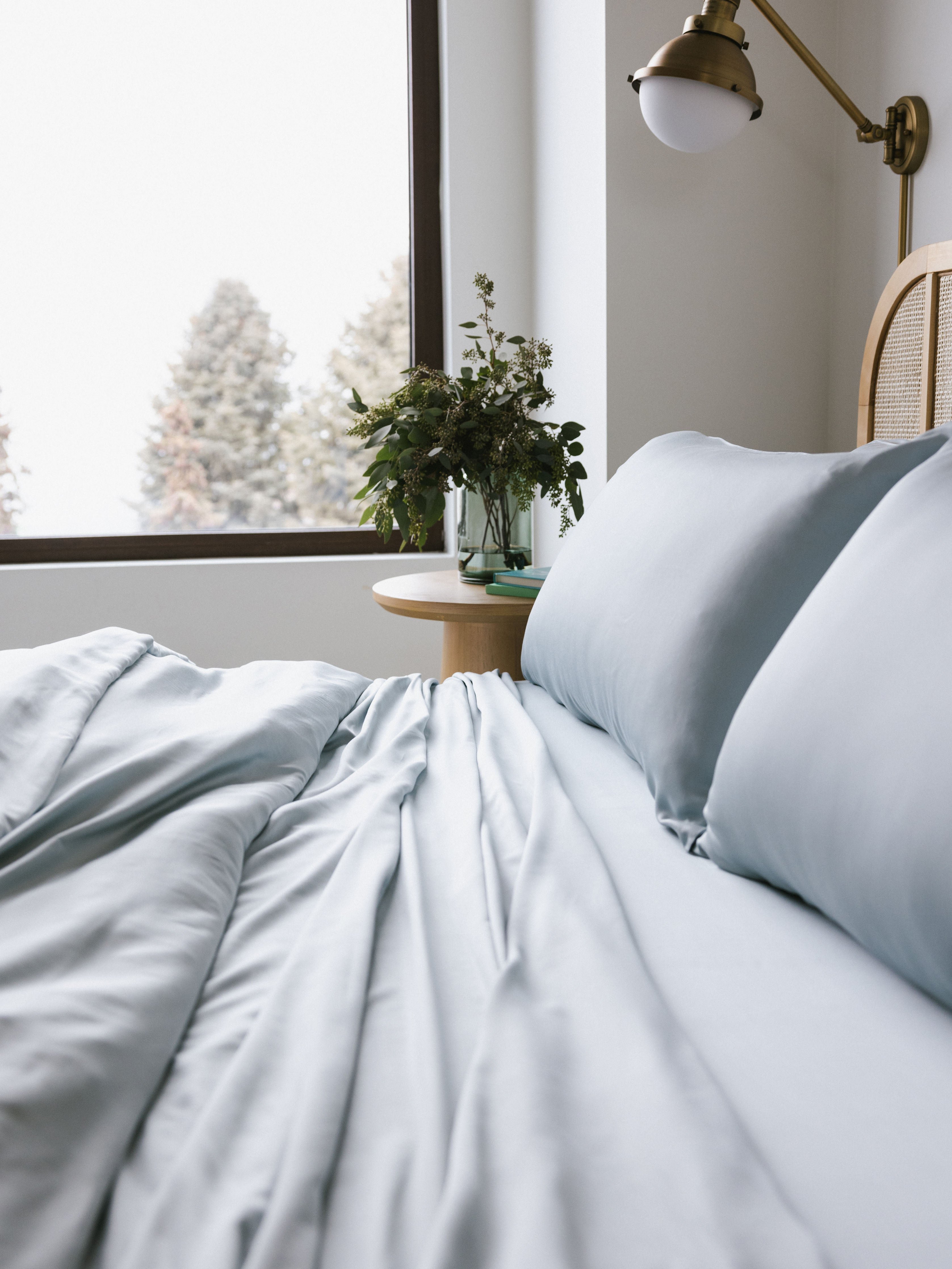 Shore bedding on an unmade bed with trees out the window 
