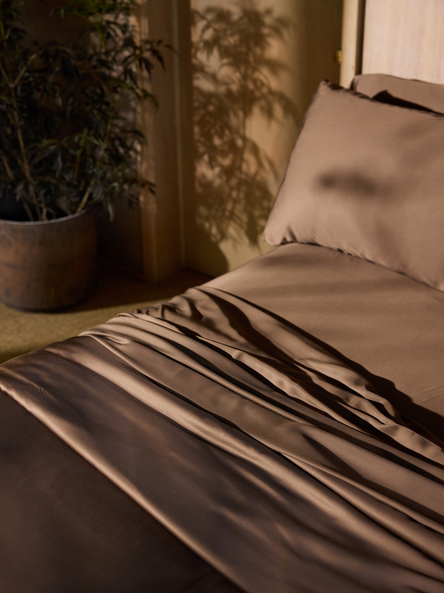 A neatly made bed, adorned with Cozy Earth's Bamboo Fitted Sheets in a rich brown hue, is bathed in soft, warm sunlight. To the left, a tall potted plant casts intricate shadows on the wall behind the bed, adding a touch of nature to the cozy indoor setting. 