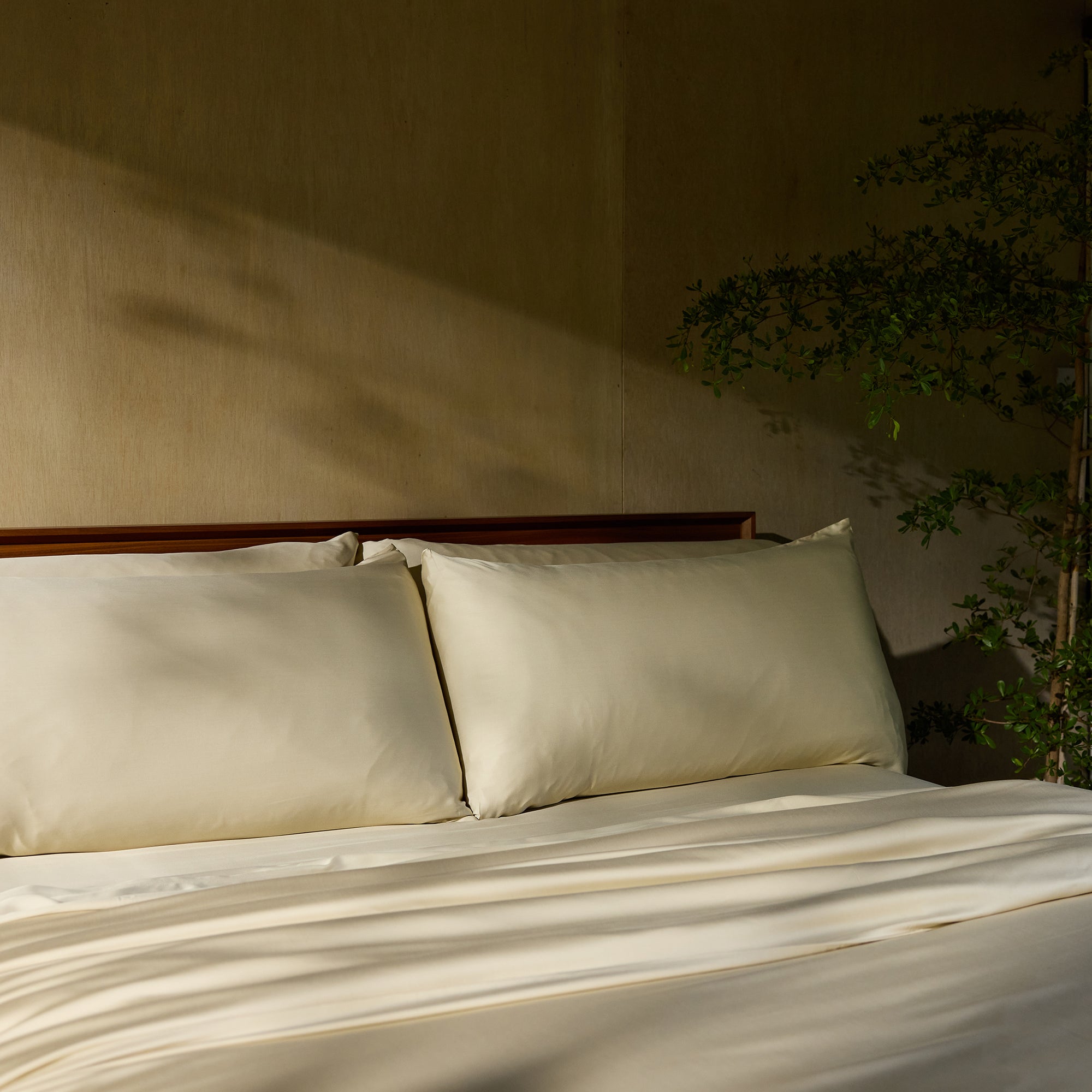 A neatly made bed with Cozy Earth's Bamboo Sheet Set in creamy beige is bathed in warm sunlight. The headboard is wooden, and a leafy green plant is partially visible on the right side of the image, casting a soft shadow on the wall. 