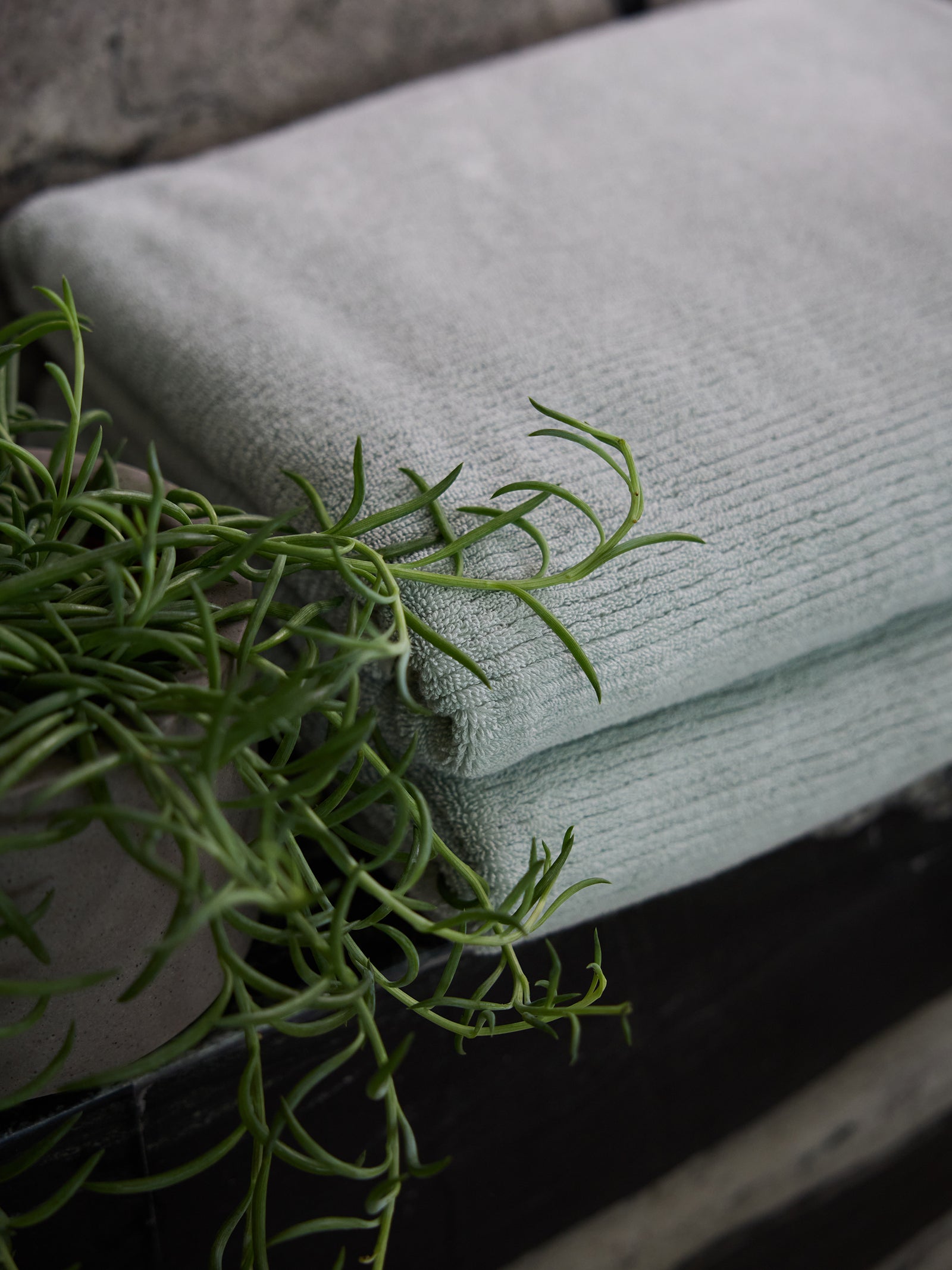 A folded Ribbed Terry Bath Sheet in light grey from Cozy Earth lies on a dark surface next to a green potted plant with long, thin leaves. The background features a stone wall. 