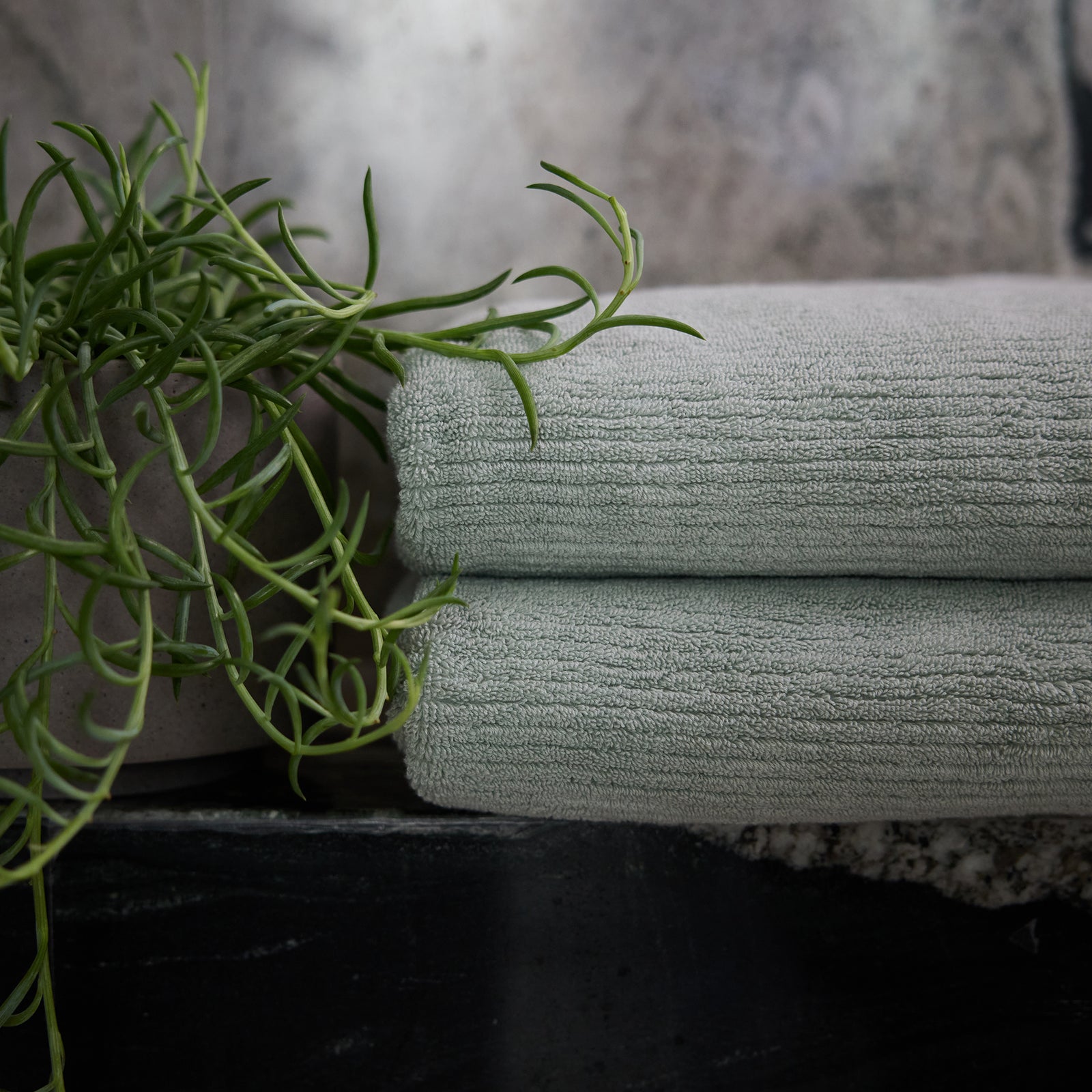 A stack of two neatly folded Ribbed Terry Bath Towels by Cozy Earth, in sage green, is positioned next to a potted succulent plant. The background features a textured gray stone surface, creating a calm and natural ambiance. 