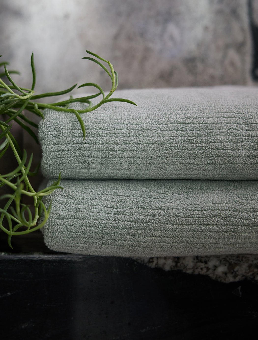 Two Cozy Earth Ribbed Terry Bath Towels in light gray are neatly folded and stacked on a dark surface, topped with a green plant. A stone or concrete background completes the modern look.