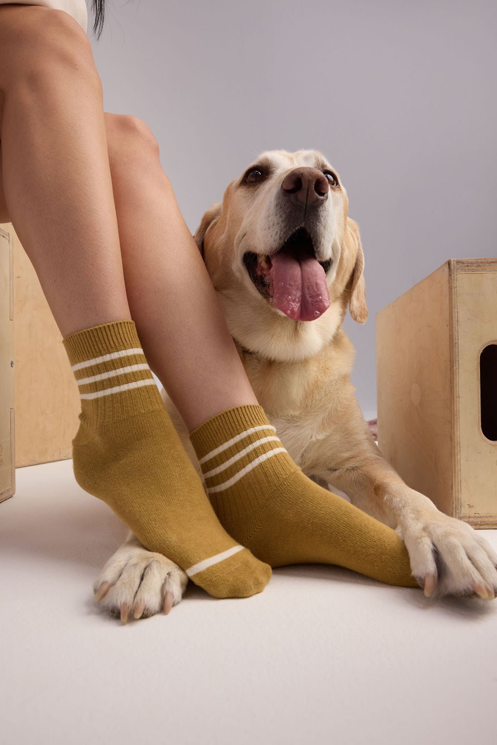 A person wearing Cozy Earth's Women's Sadie Sock in mustard yellow.  A golden retriever sits at their feet. 