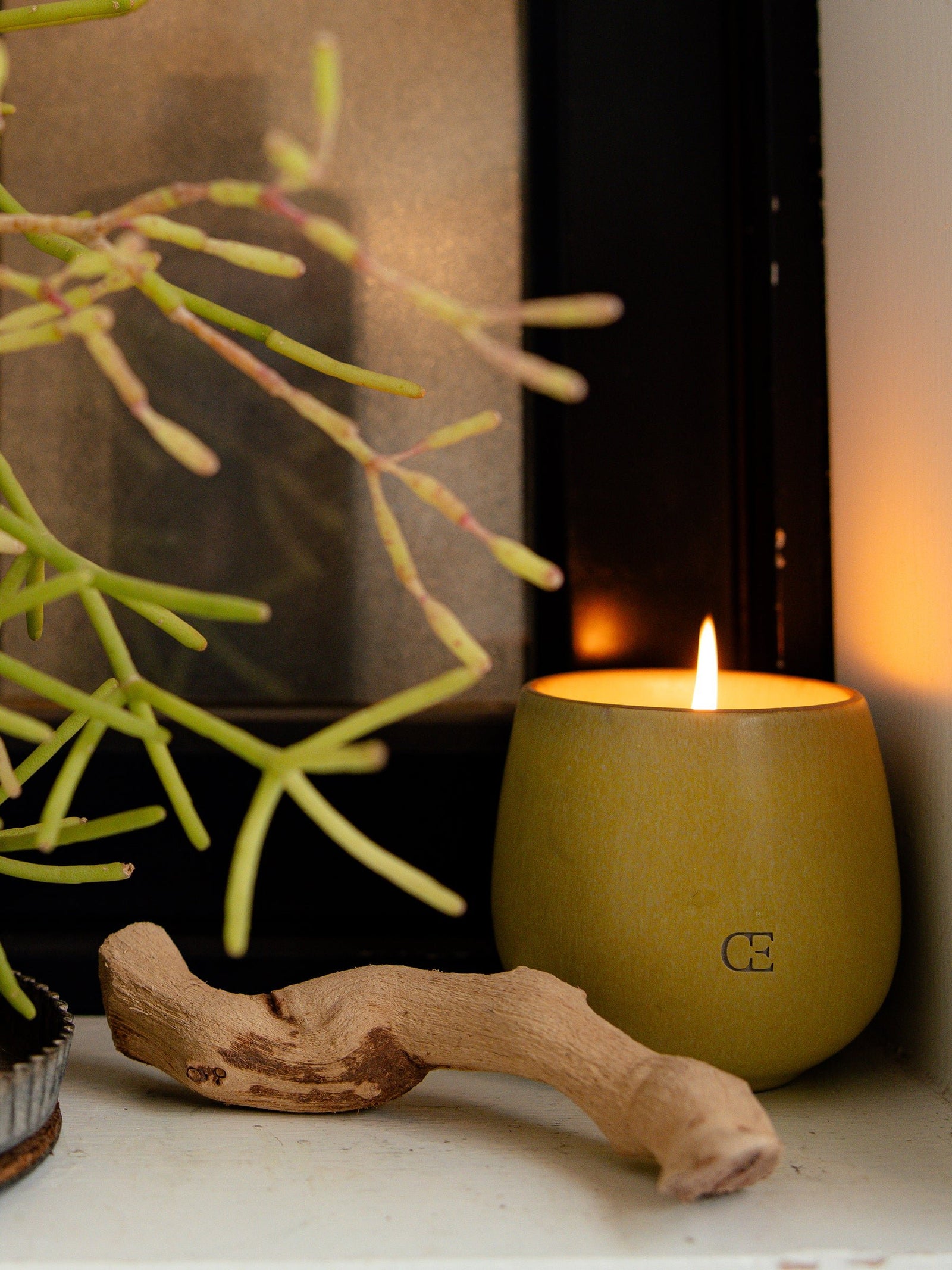 Cozy Earth Bloom Candle lit next to a plant