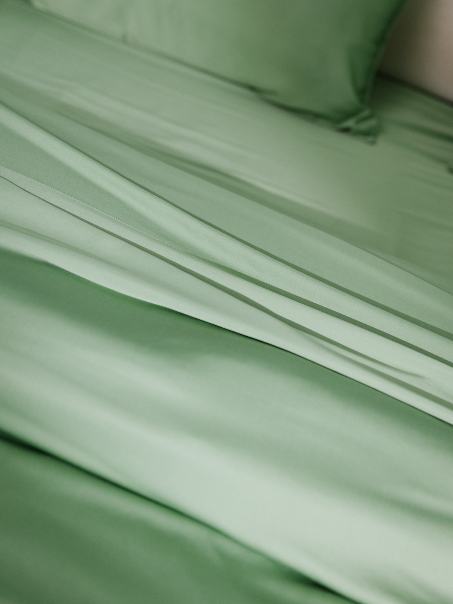 Fern Sheets on bed. Photo taken close up. 
