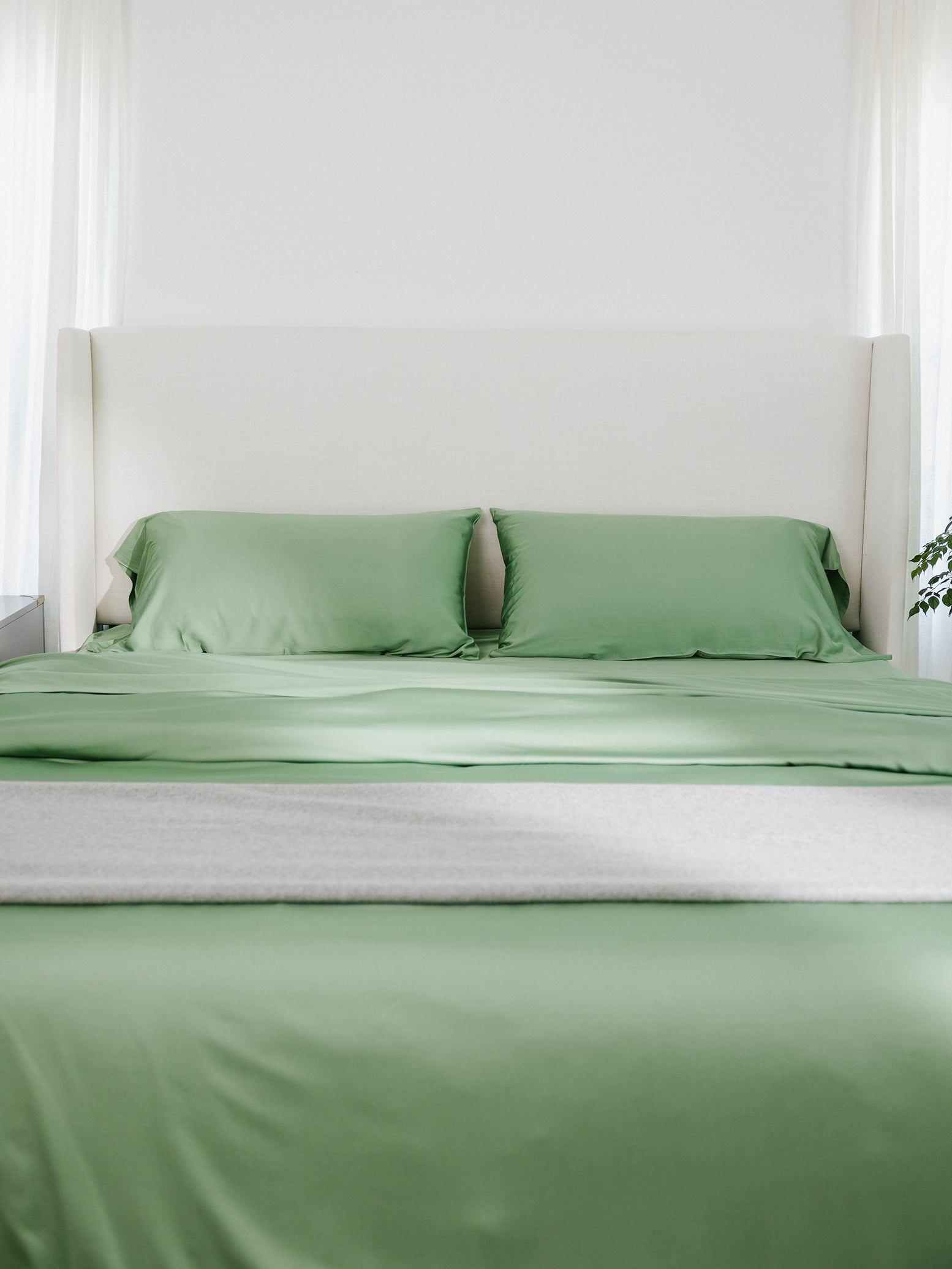 Fern Sheets on bed standard/king. 
