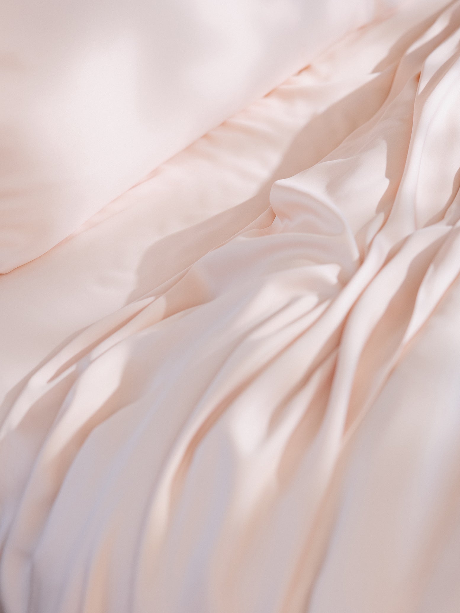 Close up of peony sheet texture 