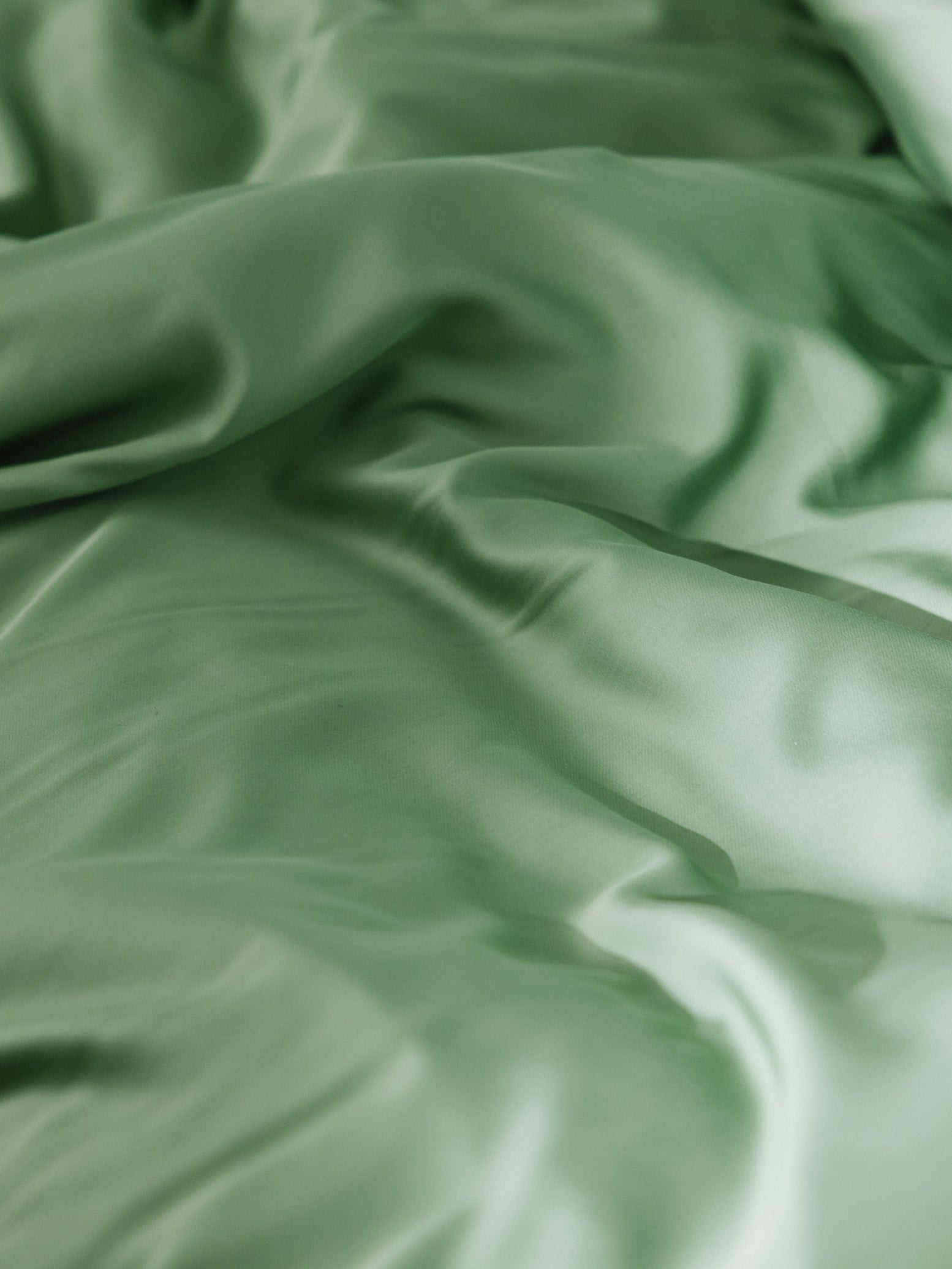Fern Sheets on bed. Photo taken close up. 