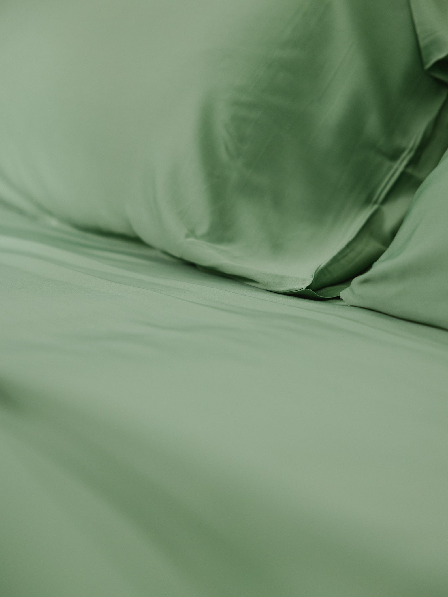 Fern Sheets on bed. Photo taken close up standard/king. 