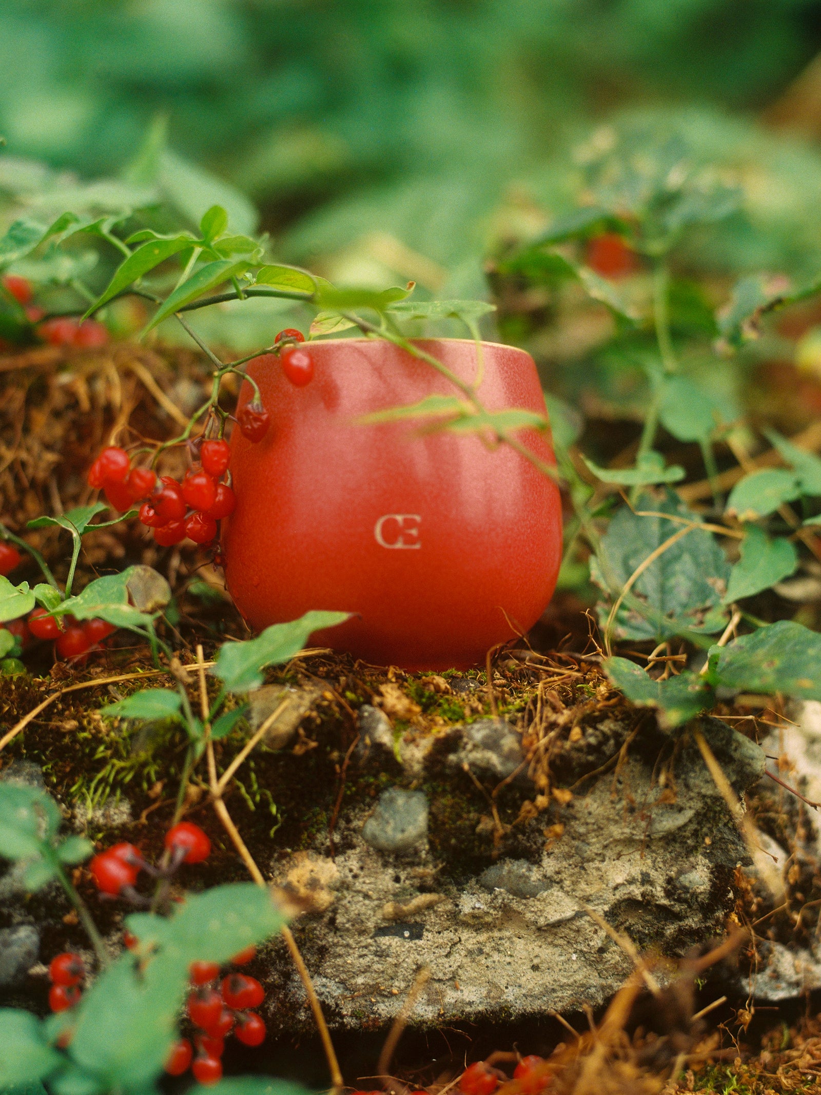 Cozy Earth Gather Candle surrounded by holly berries