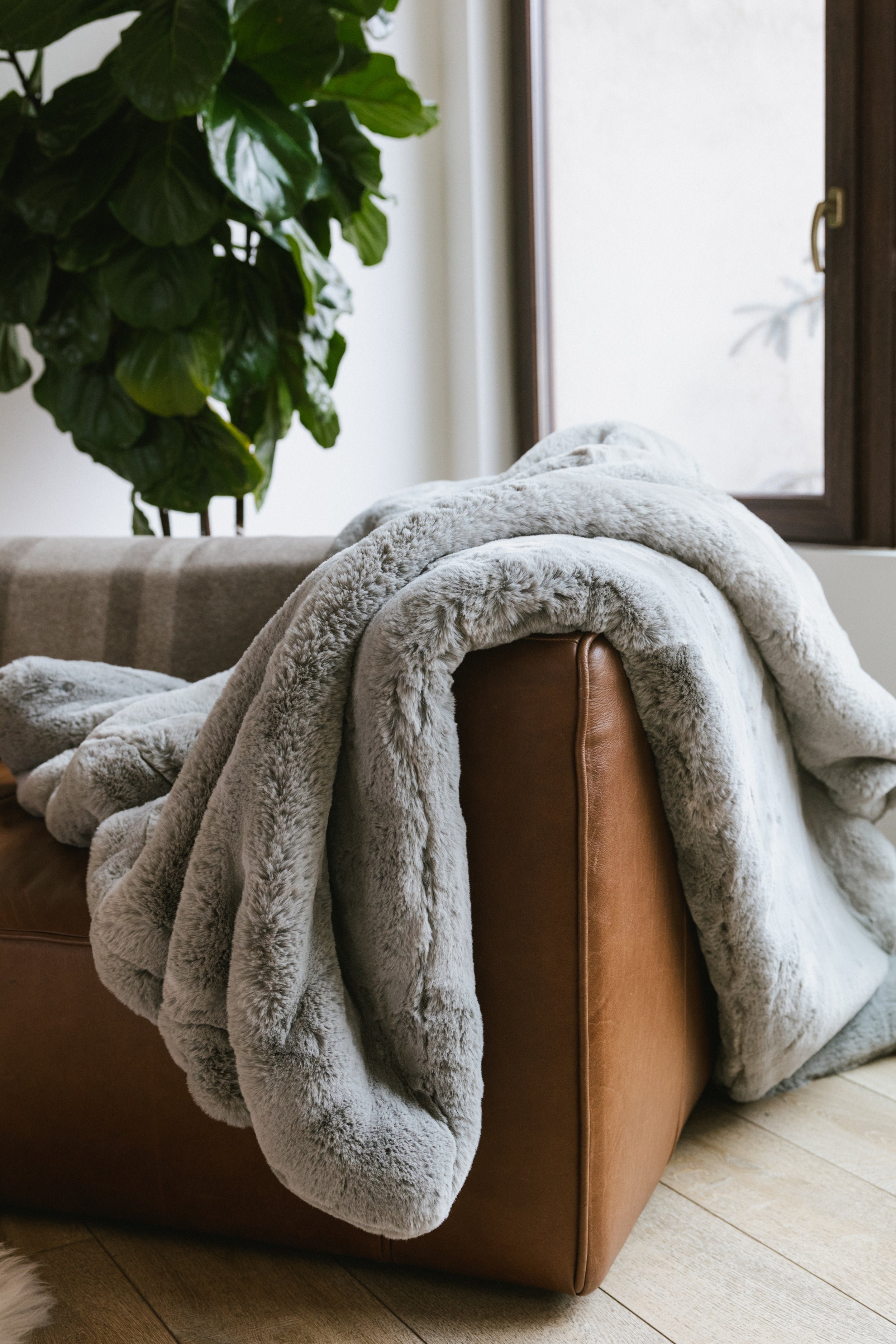 Dove Grey Oversized Throw Cuddle Blanket draped over couch with a tree behind it 