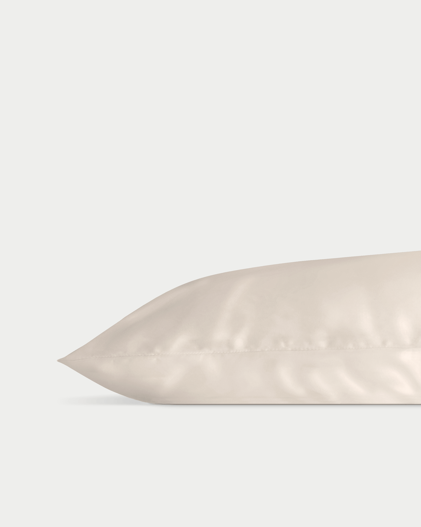 Champagne silk pillowcase with white background 