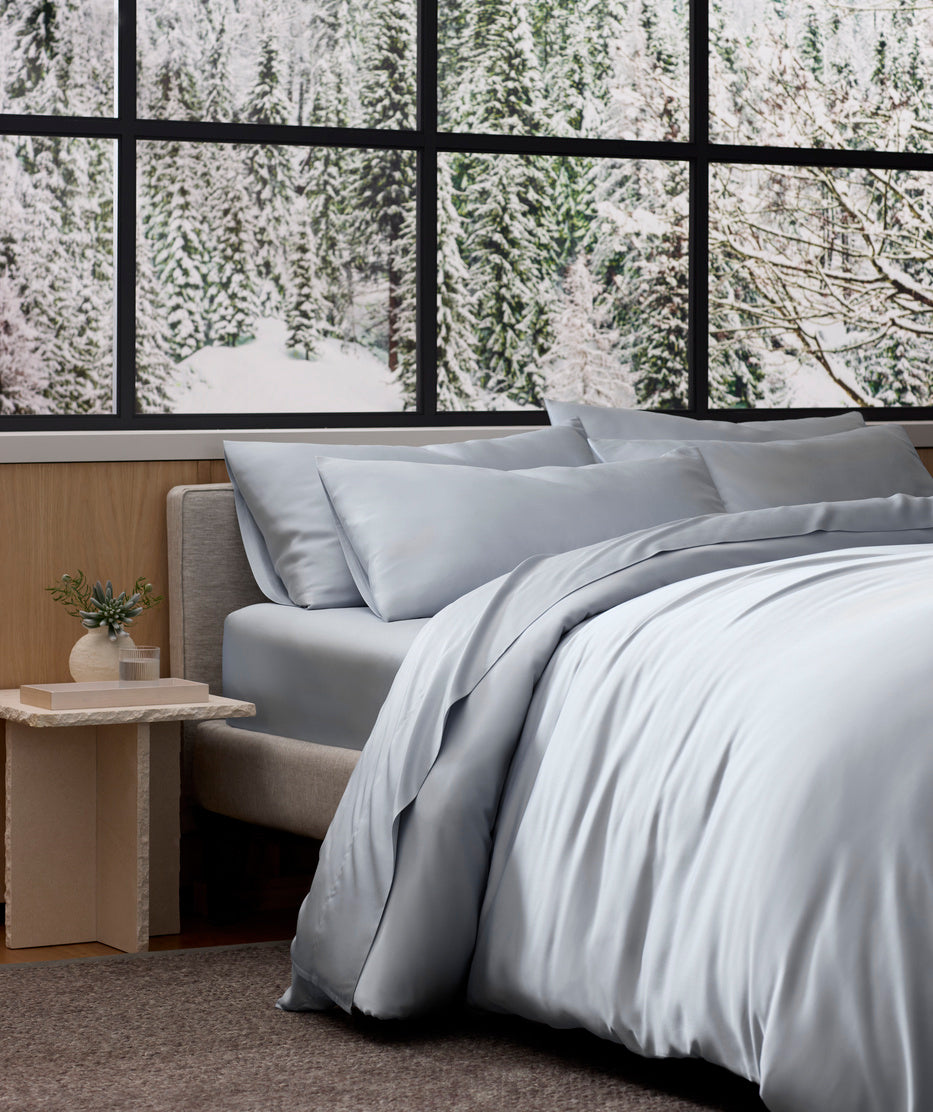 Bedroom with light gray bedding and a snowy window view