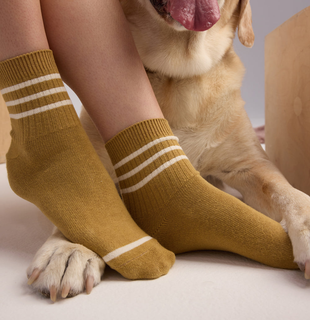 Person wearing mustard Cozy Earth Sadie Socks socks with a dog sitting next to them on a light background