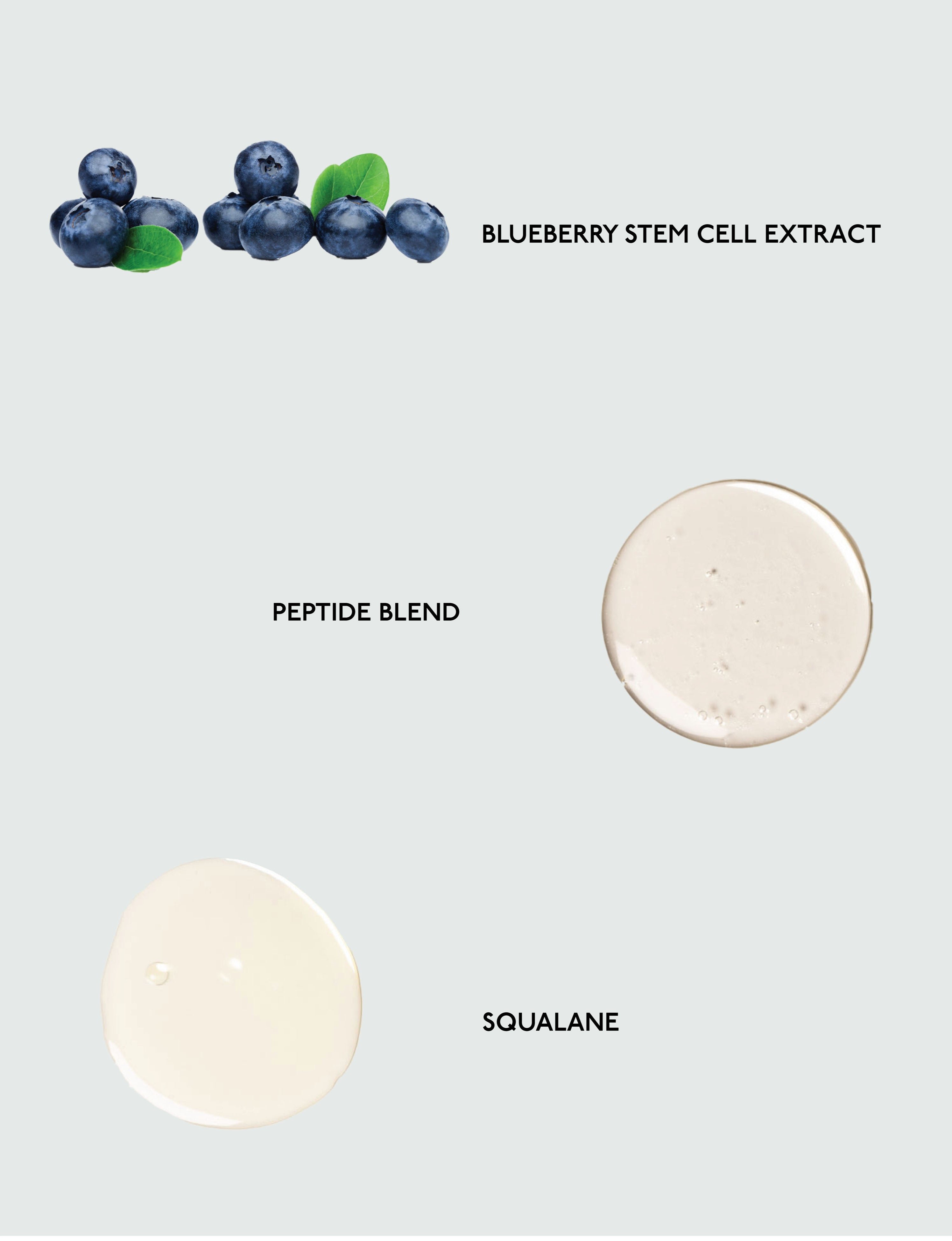 Illustration featuring Cozy Earth's Water Cream Moisturizer ingredients: blueberries labeled "Blueberry Stem Cell Extract," a creamy substance tagged "Peptide Blend," and a clear liquid drop marked "Squalane" against a light background. 