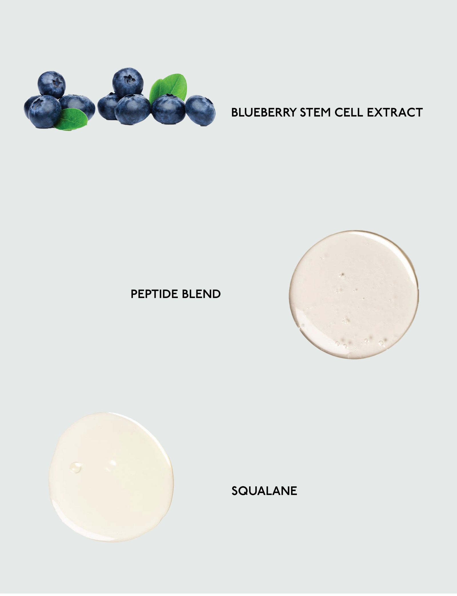 Illustration featuring Cozy Earth's Water Cream Moisturizer ingredients: blueberries labeled "Blueberry Stem Cell Extract," a creamy substance tagged "Peptide Blend," and a clear liquid drop marked "Squalane" against a light background. 