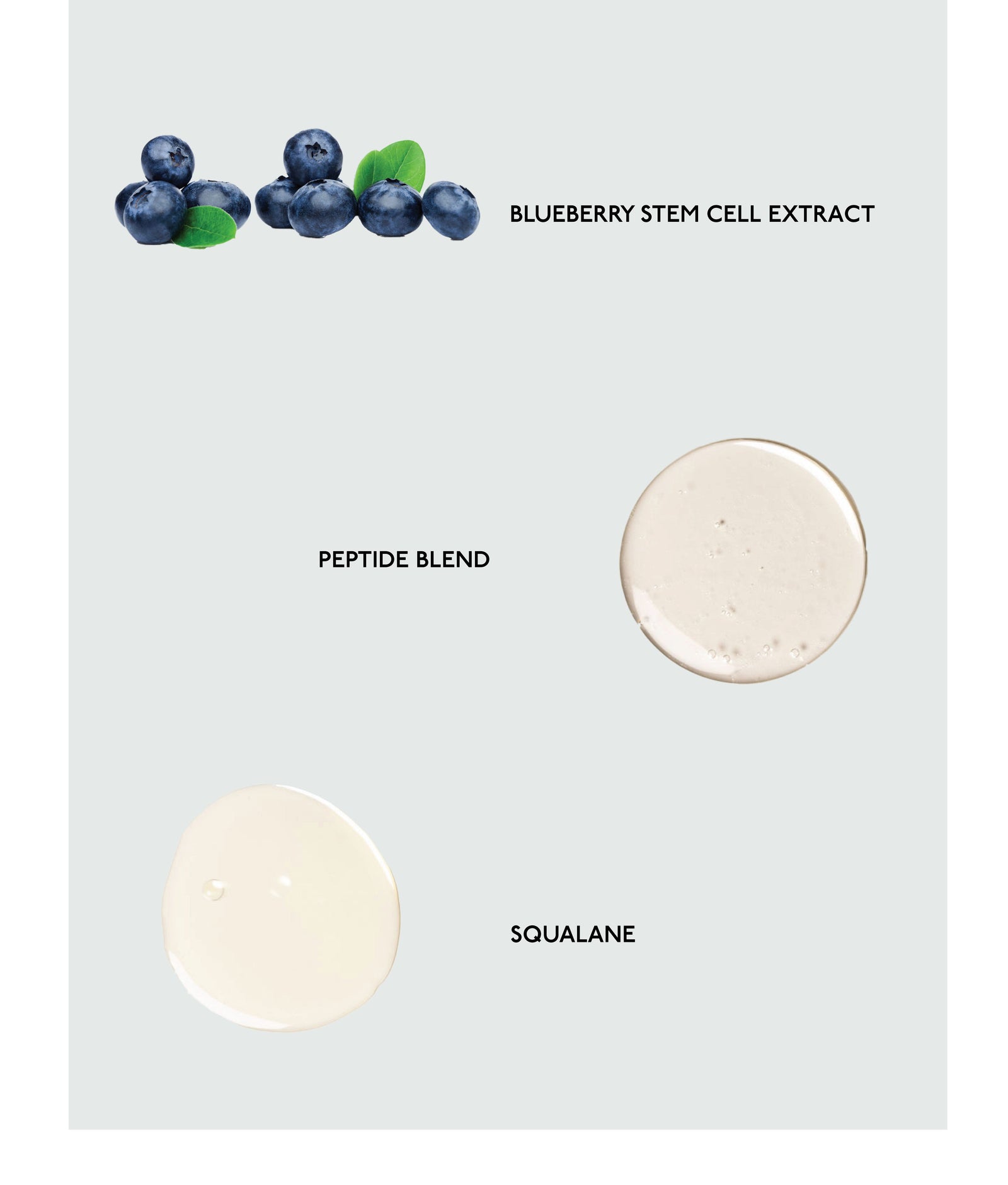 The image showcases three skincare ingredients accompanied by text labels. At the top, a cluster of blueberries is marked with "Blueberry Stem Cell Extract." Below it, a creamy substance is identified as "Peptide Blend." At the bottom, a glossy liquid is labeled "Squalane.", all featured in Cozy Earth's Water Cream Moisturizer.