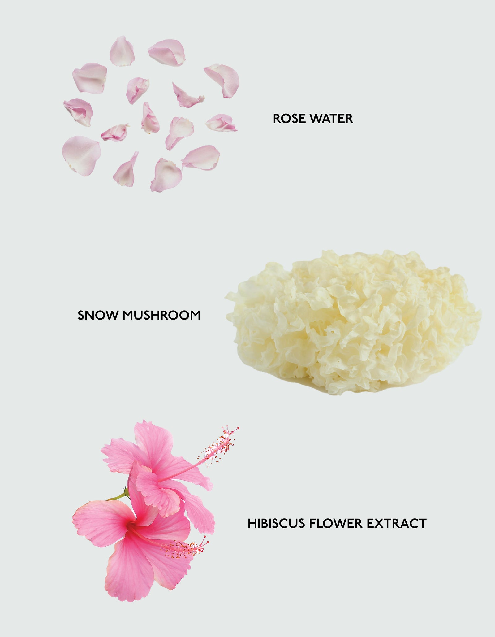 Scattered pink rose petals, white snow mushrooms, and a pink hibiscus flower are displayed on a light background to highlight key ingredients in Cozy Earth’s Balancing Face Mist. 