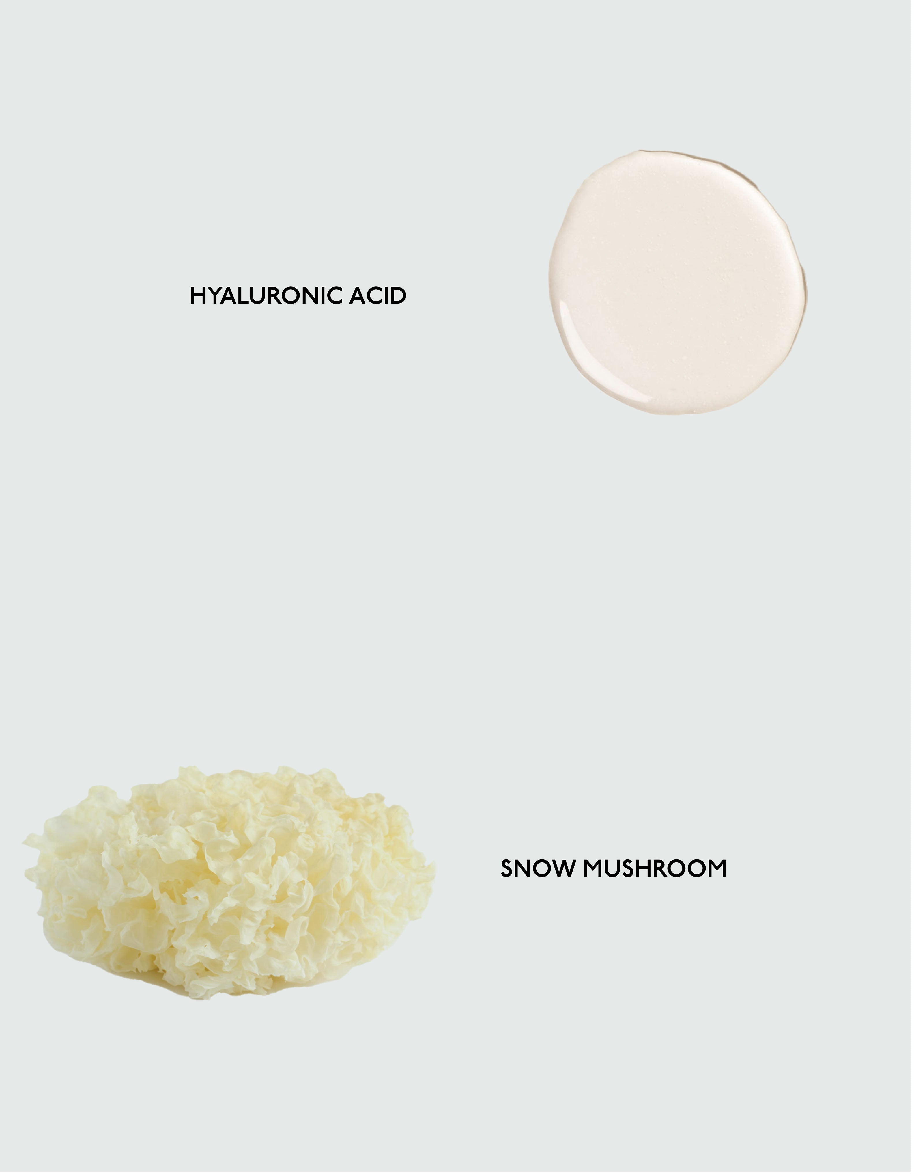 The image showcases two key ingredients from Cozy Earth's Body Serum against a light grey background. At the top, there is a dollop of white hyaluronic acid, and below it lies a cream-colored snow mushroom with a frilly texture. Both ingredients are clearly labeled: "Hyaluronic Acid" and "Snow Mushroom.