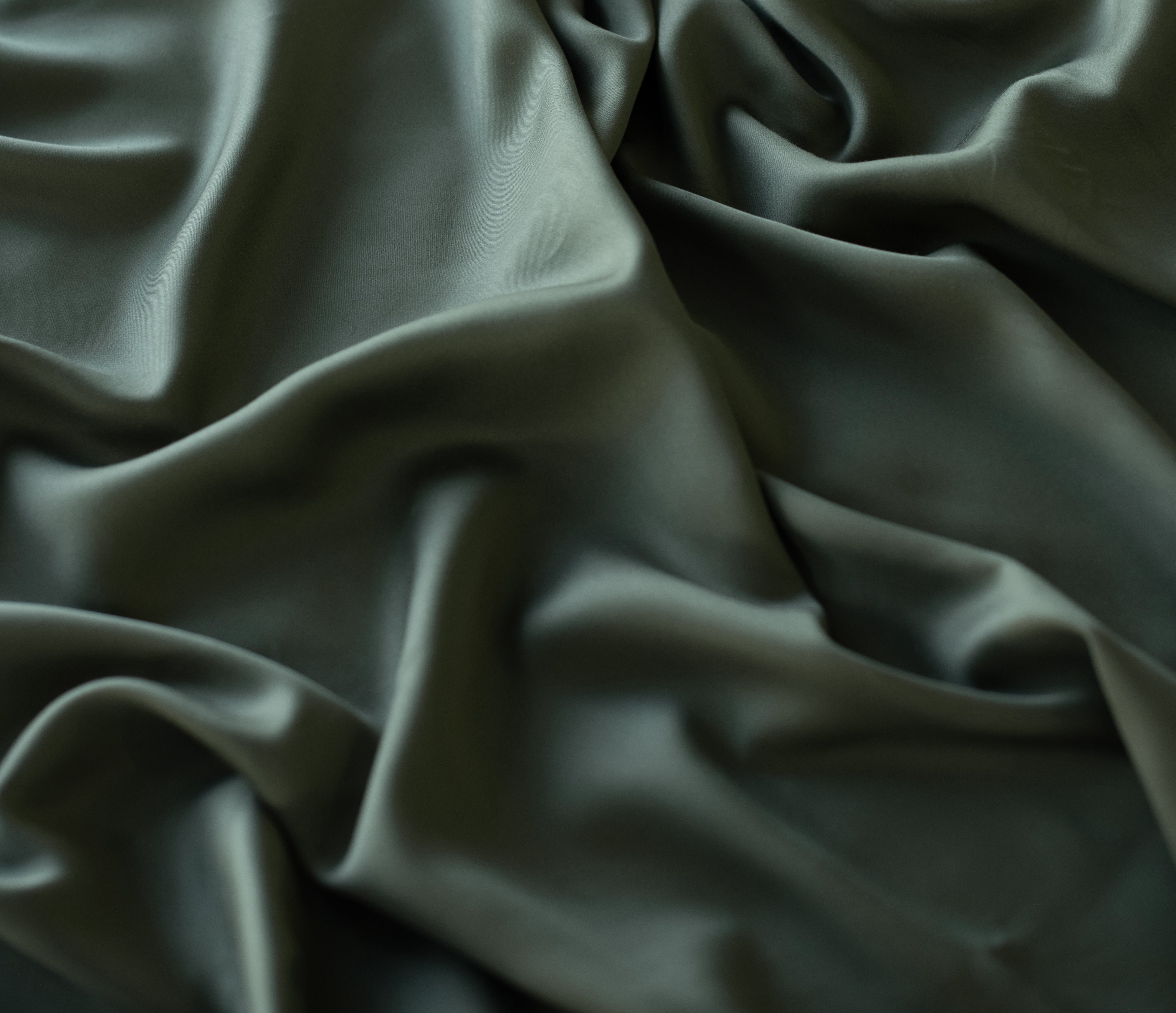 Close up of olive sheet 