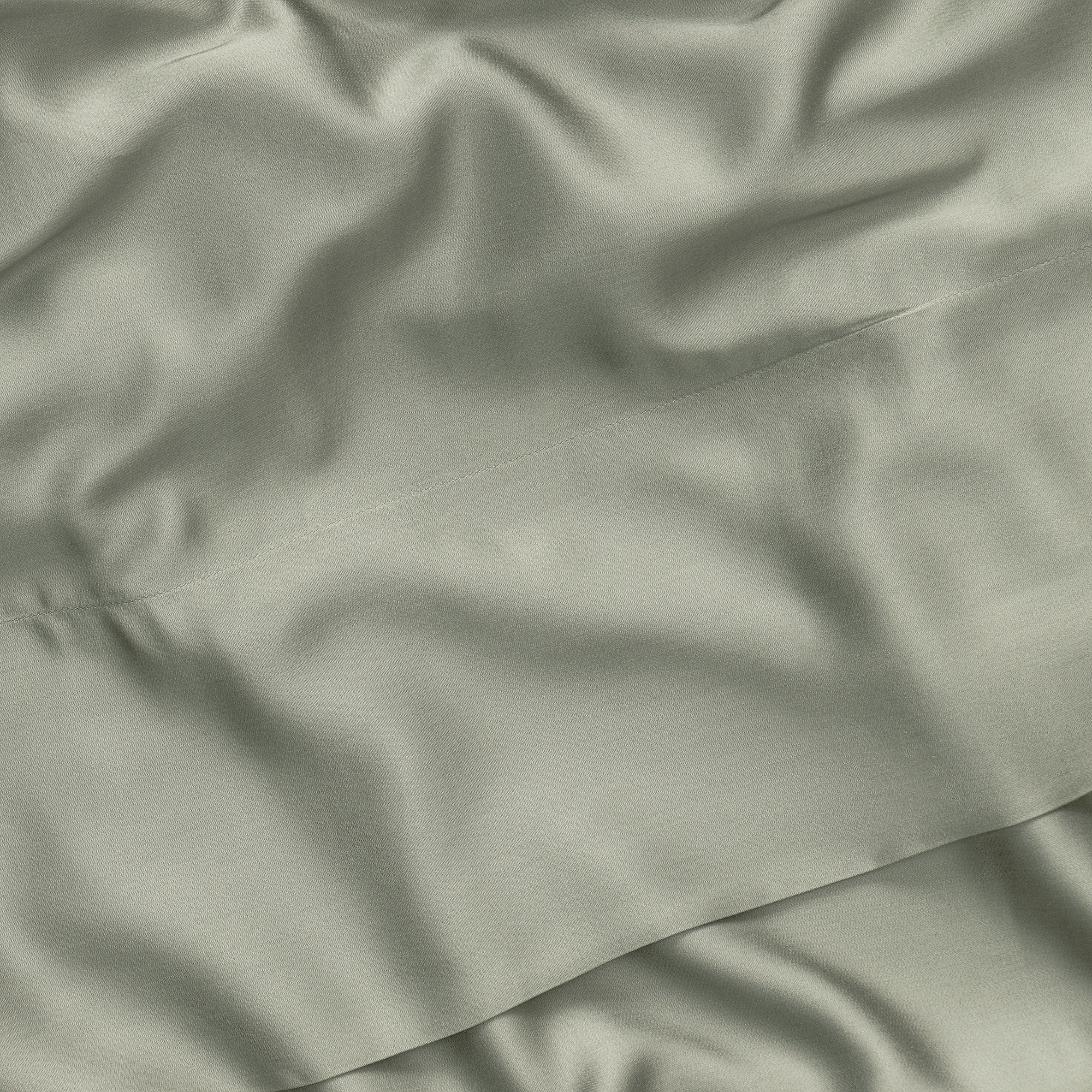 Close up of sage sheet 