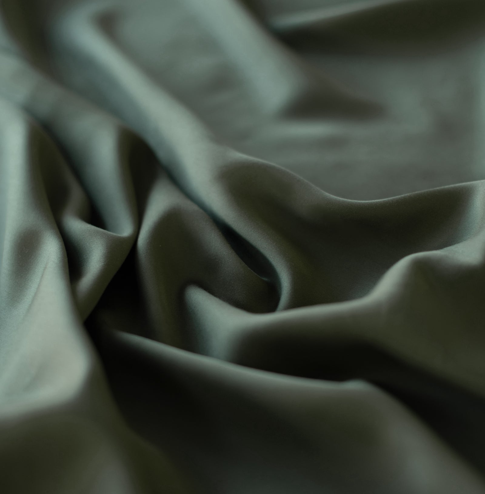 Close up of the olive bedding fabric standard/king/body