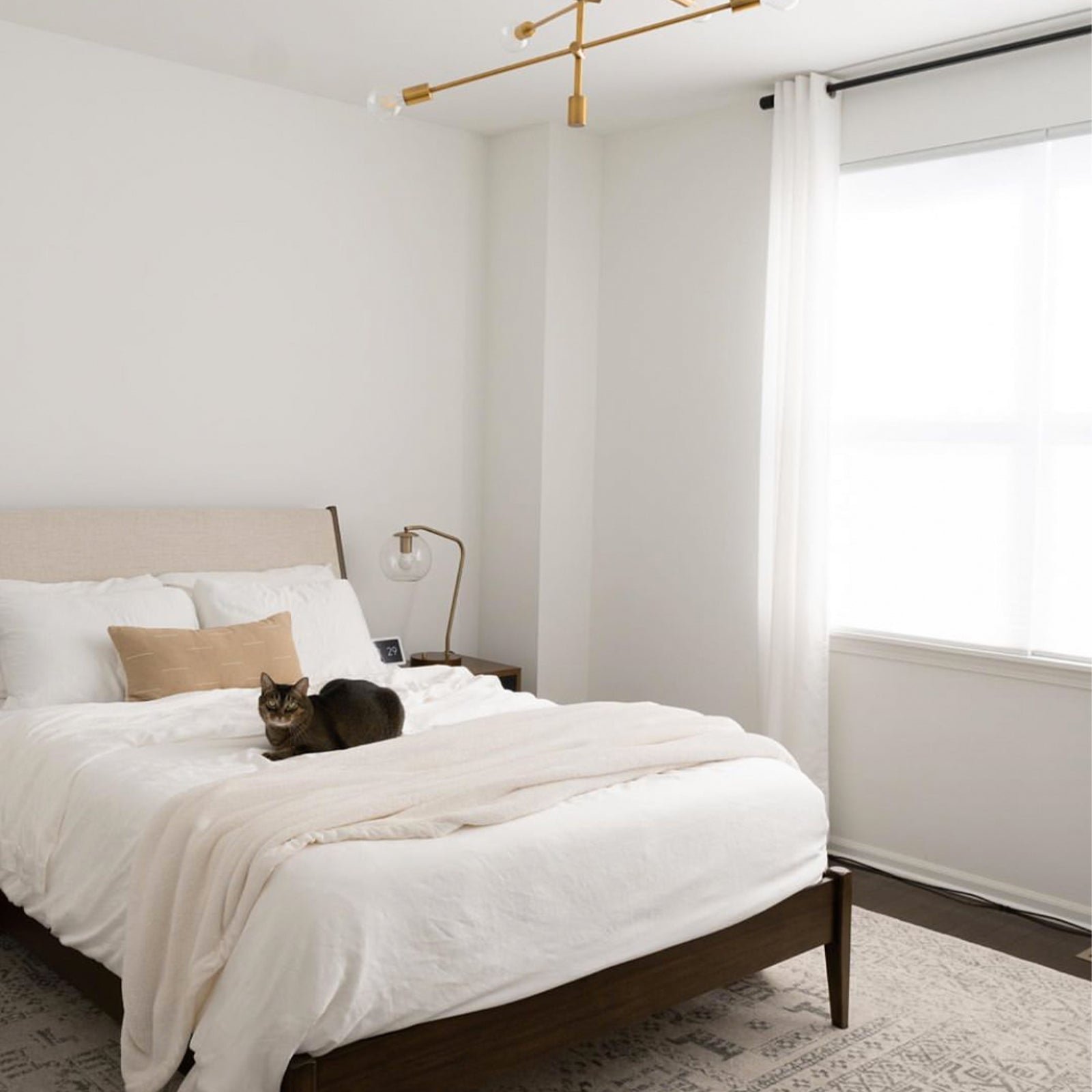 Bed with white bedding with a cat laying on it 