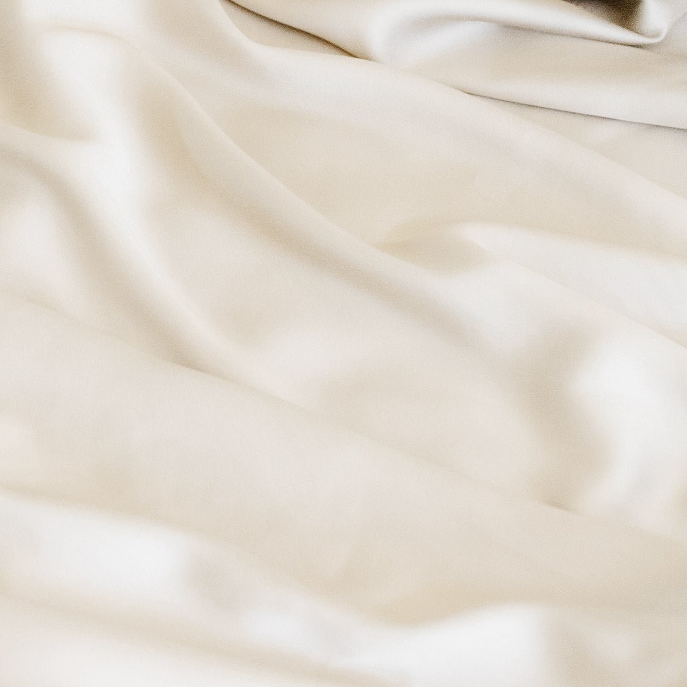 Close up of oat sheet 