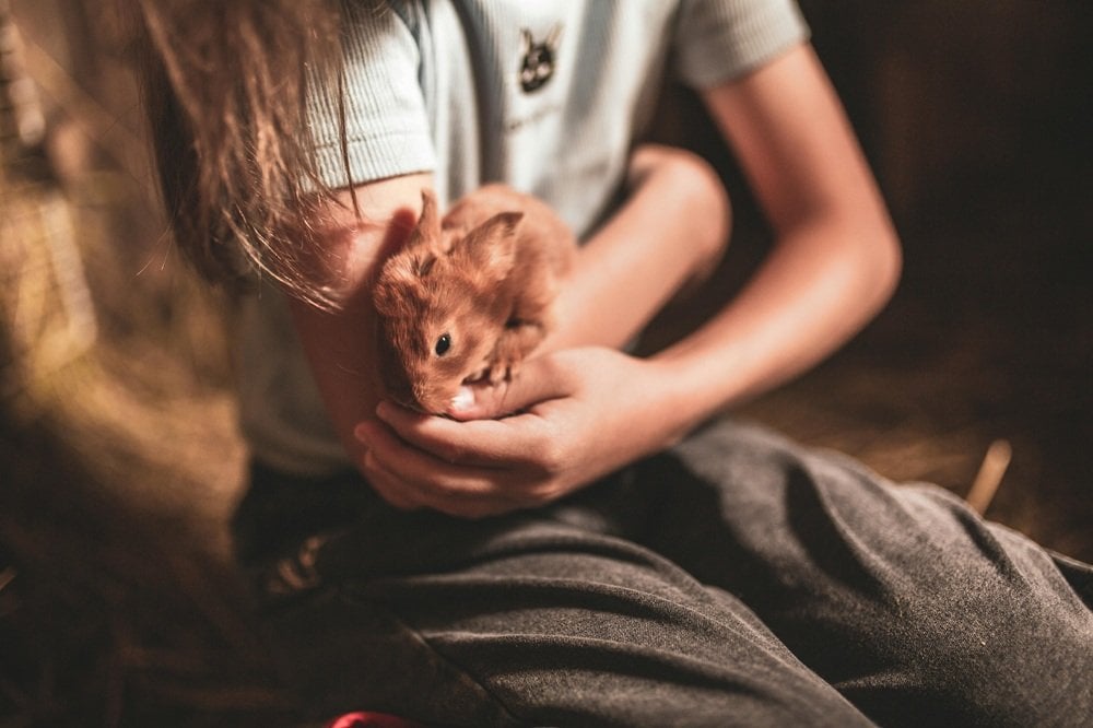 Girl holding a baby bunny.